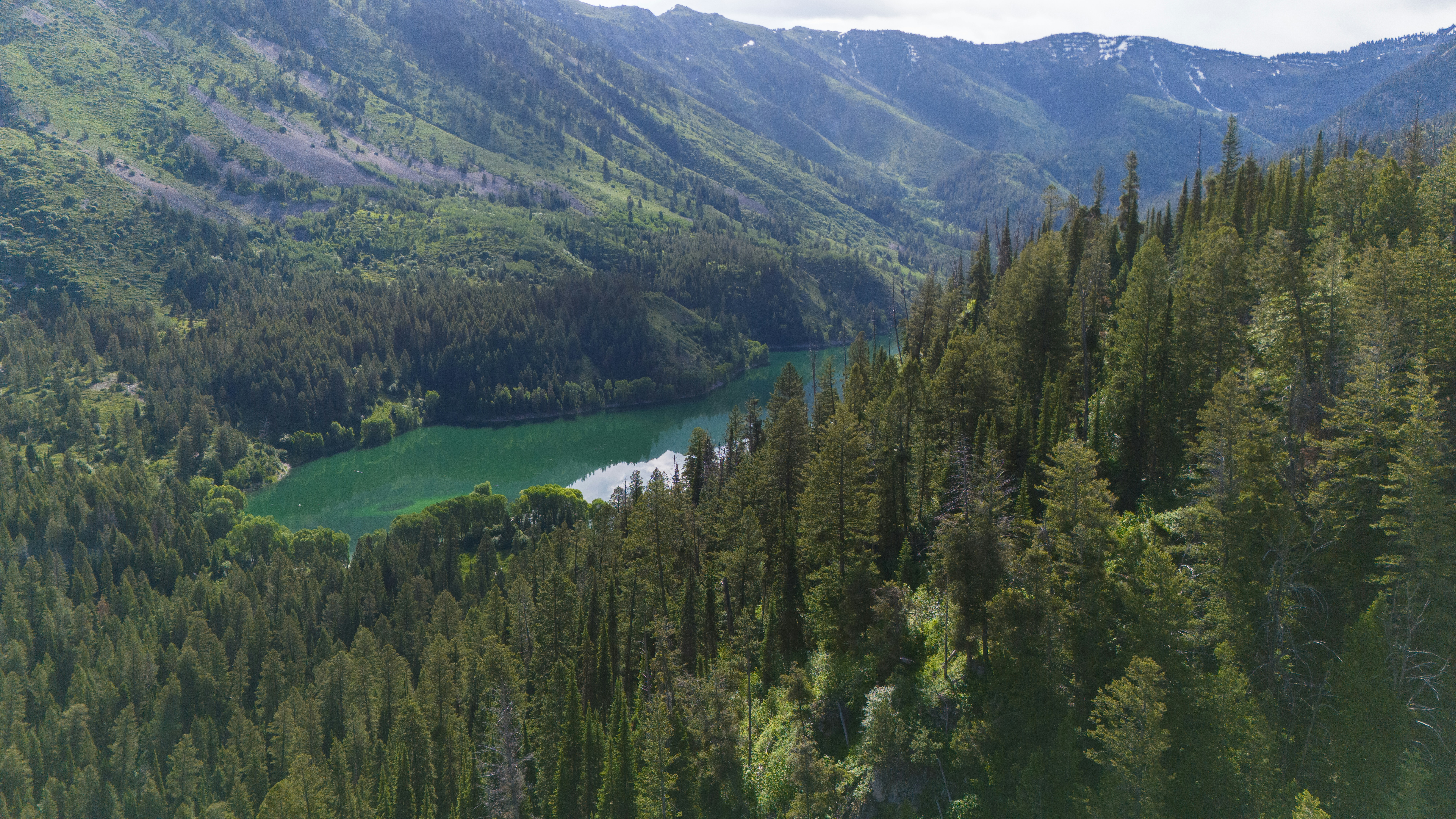 Photo by alexmoliski