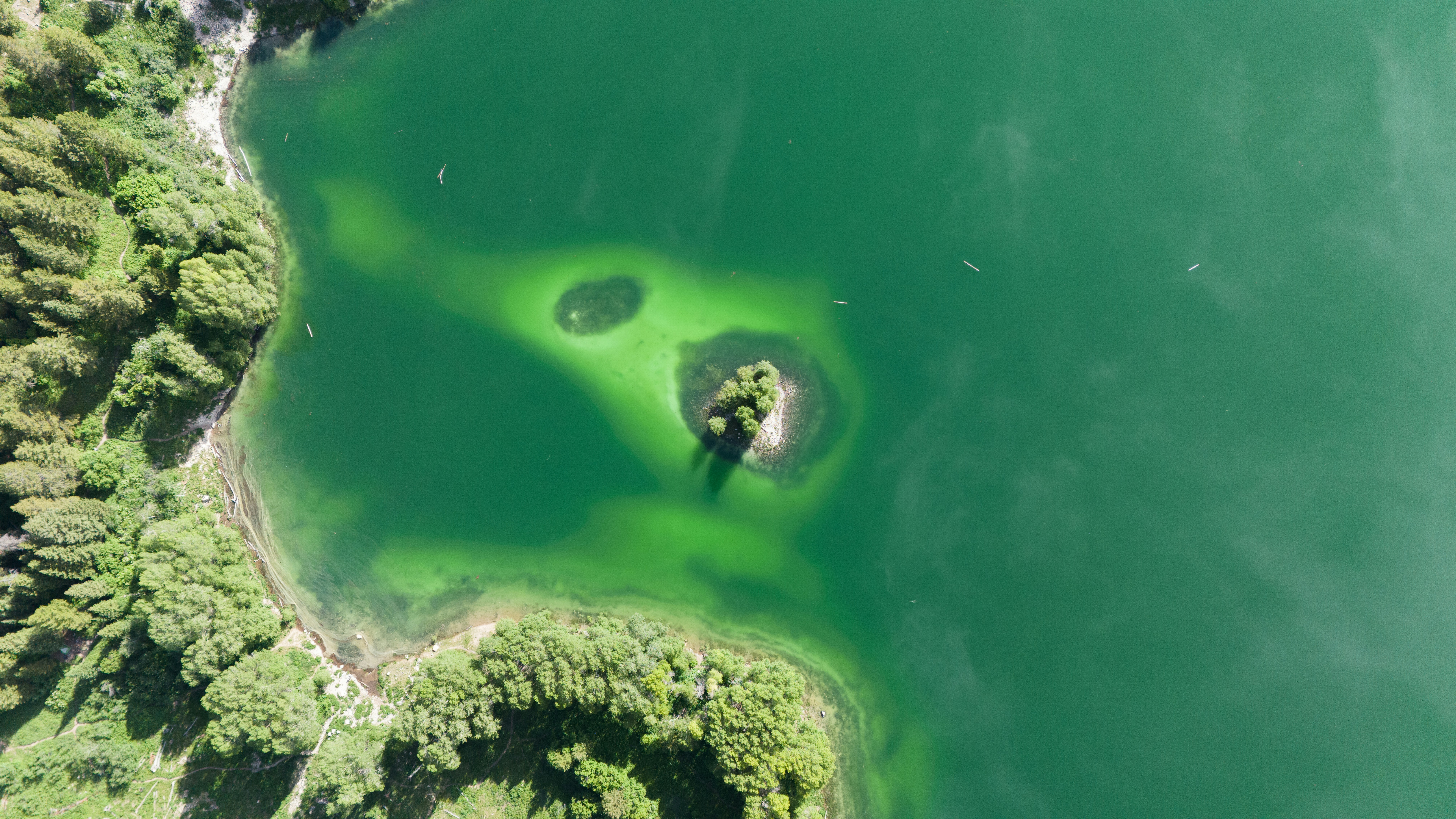 Photo by alexmoliski