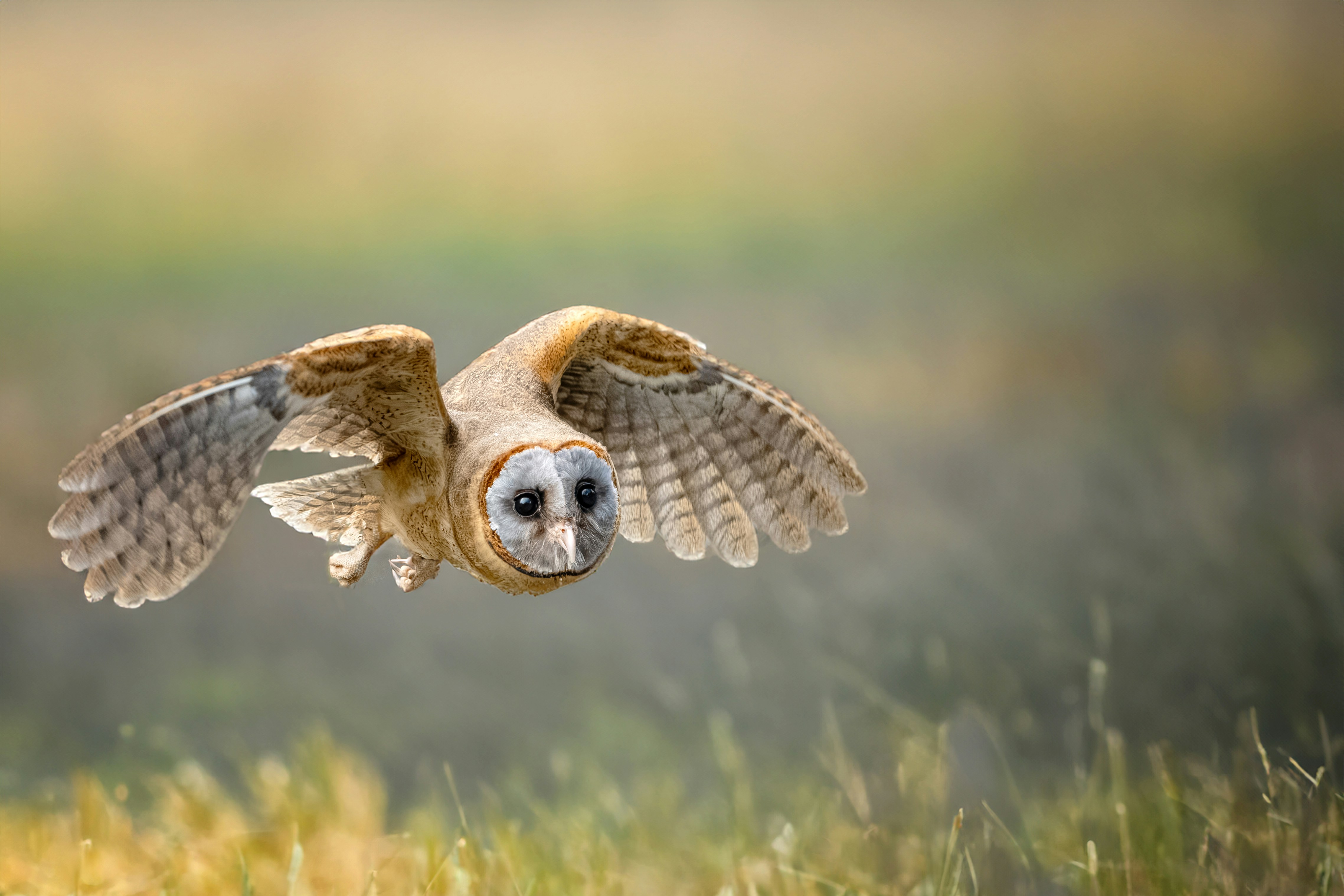 Photo by philrobson100