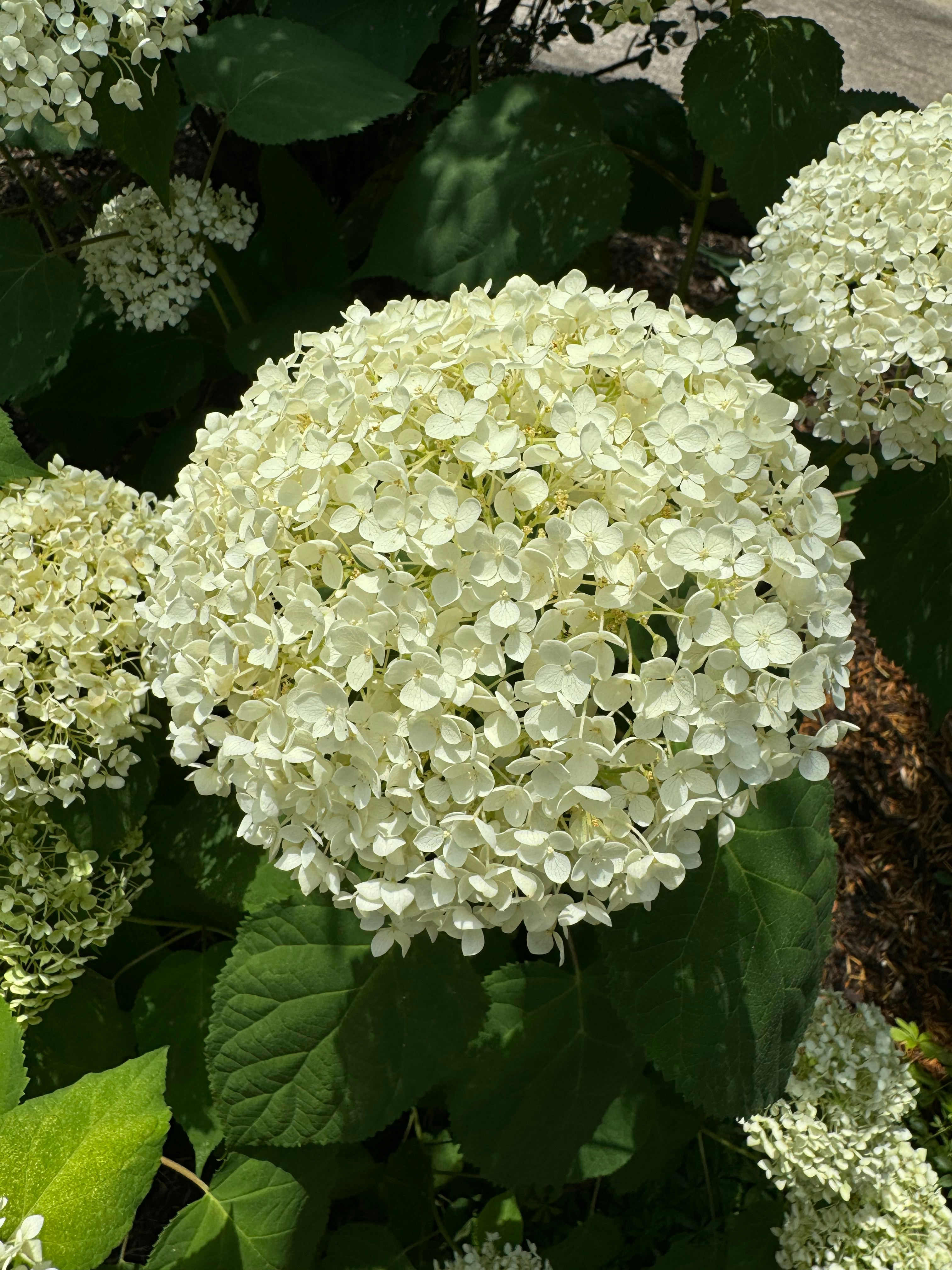 Photo by timelessandtraditional