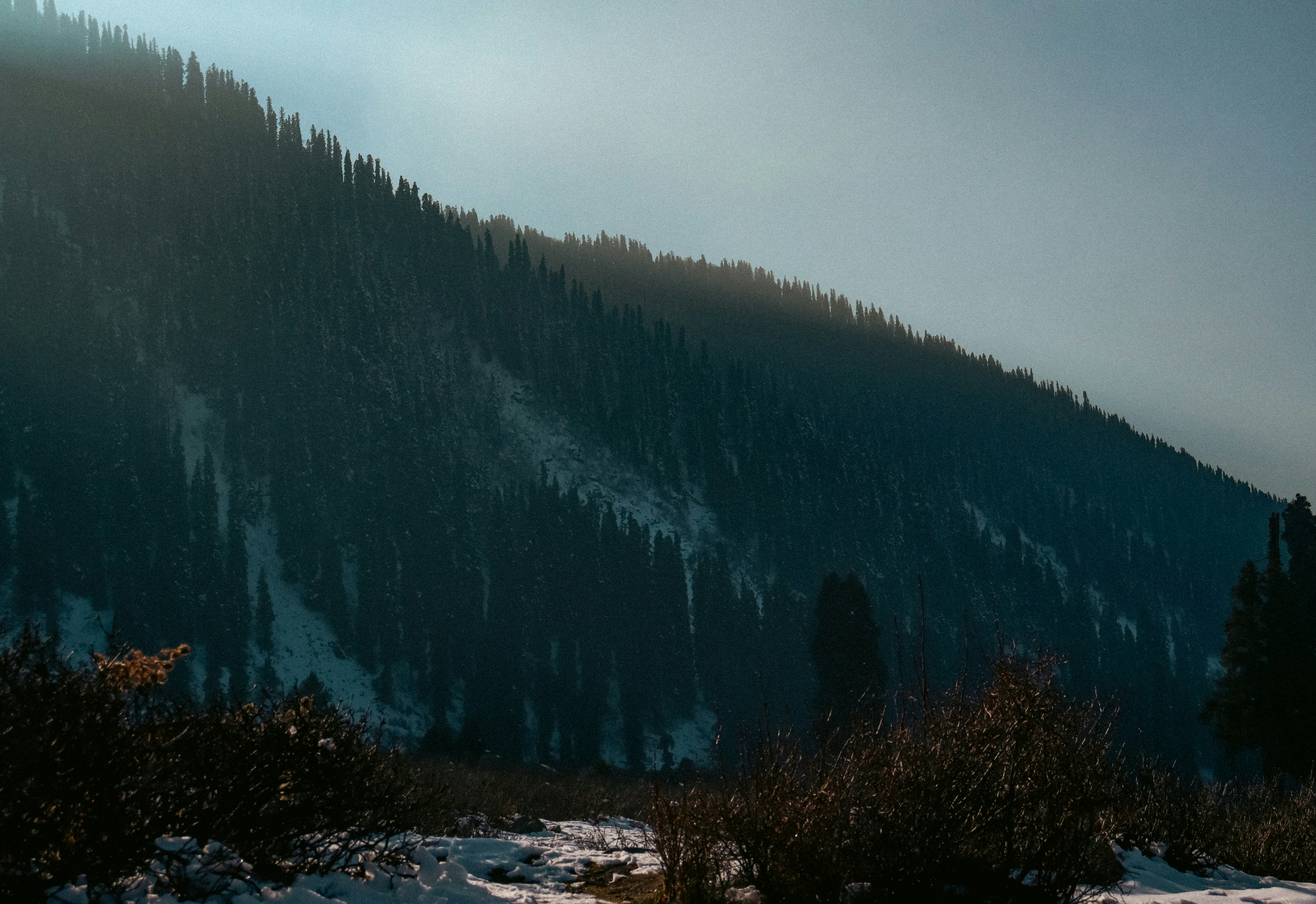 Una montaña cubierta de nieve y árboles bajo un cielo nublado