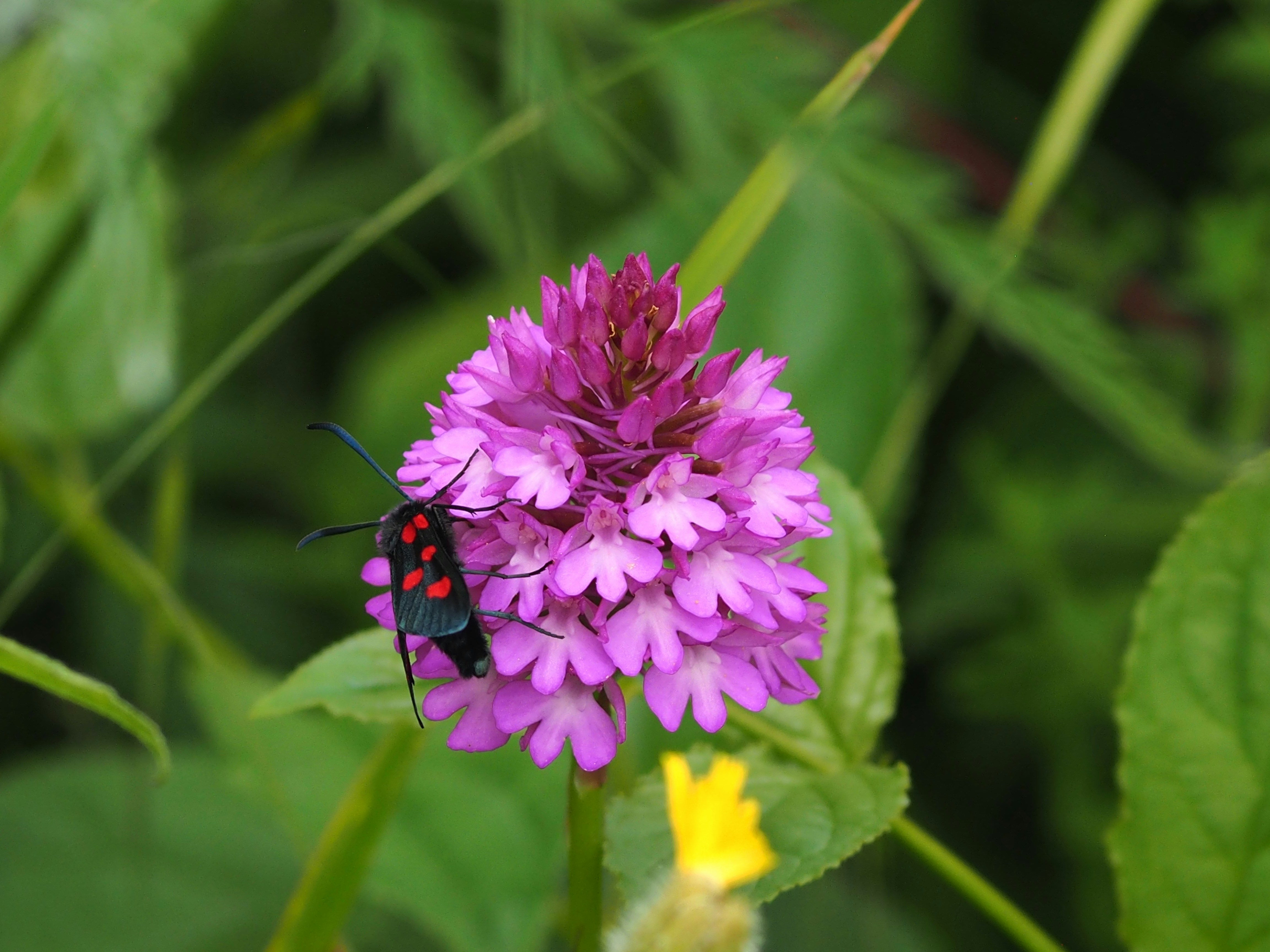 Photo by boarderbloke