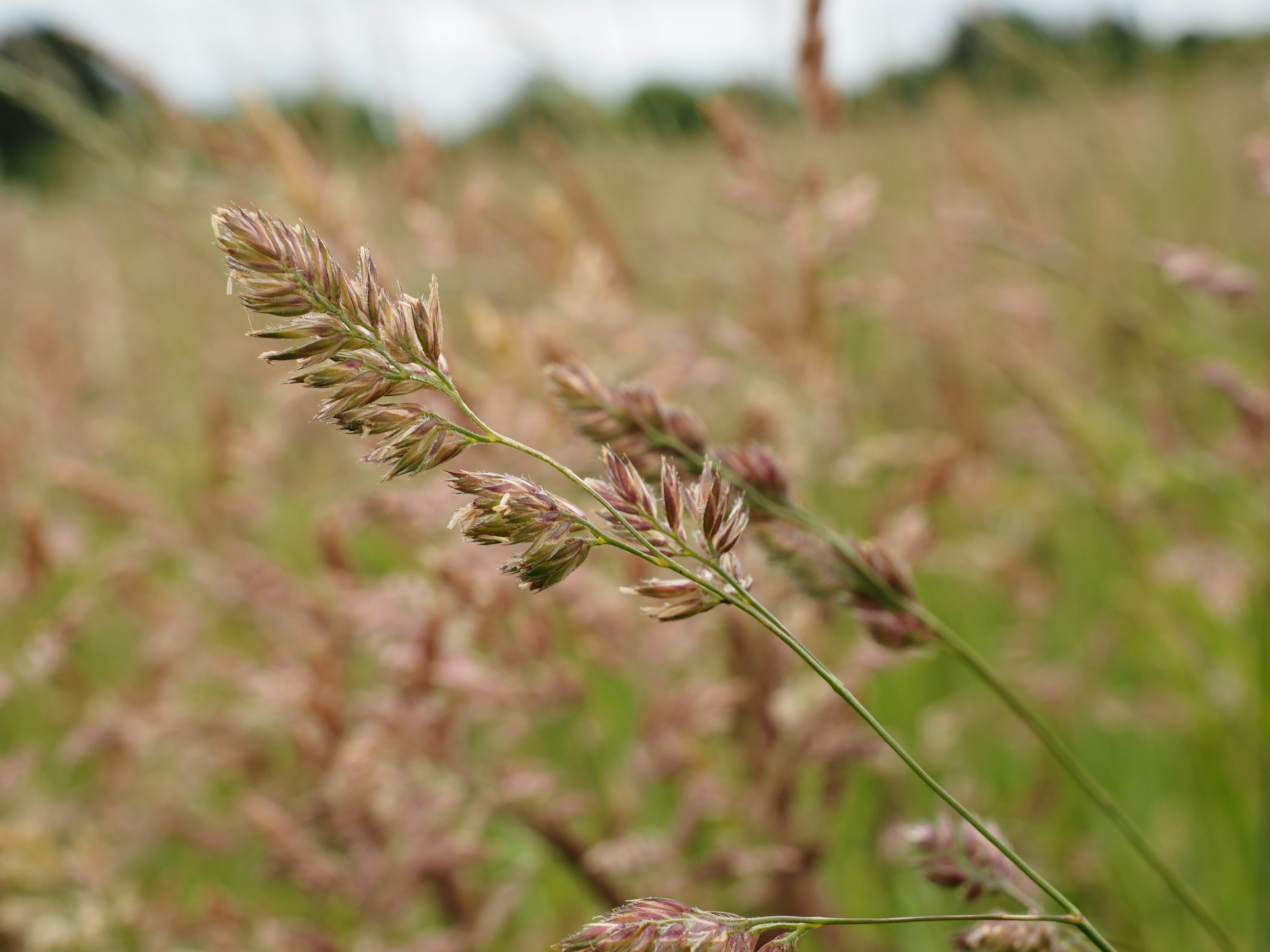 Photo by boarderbloke