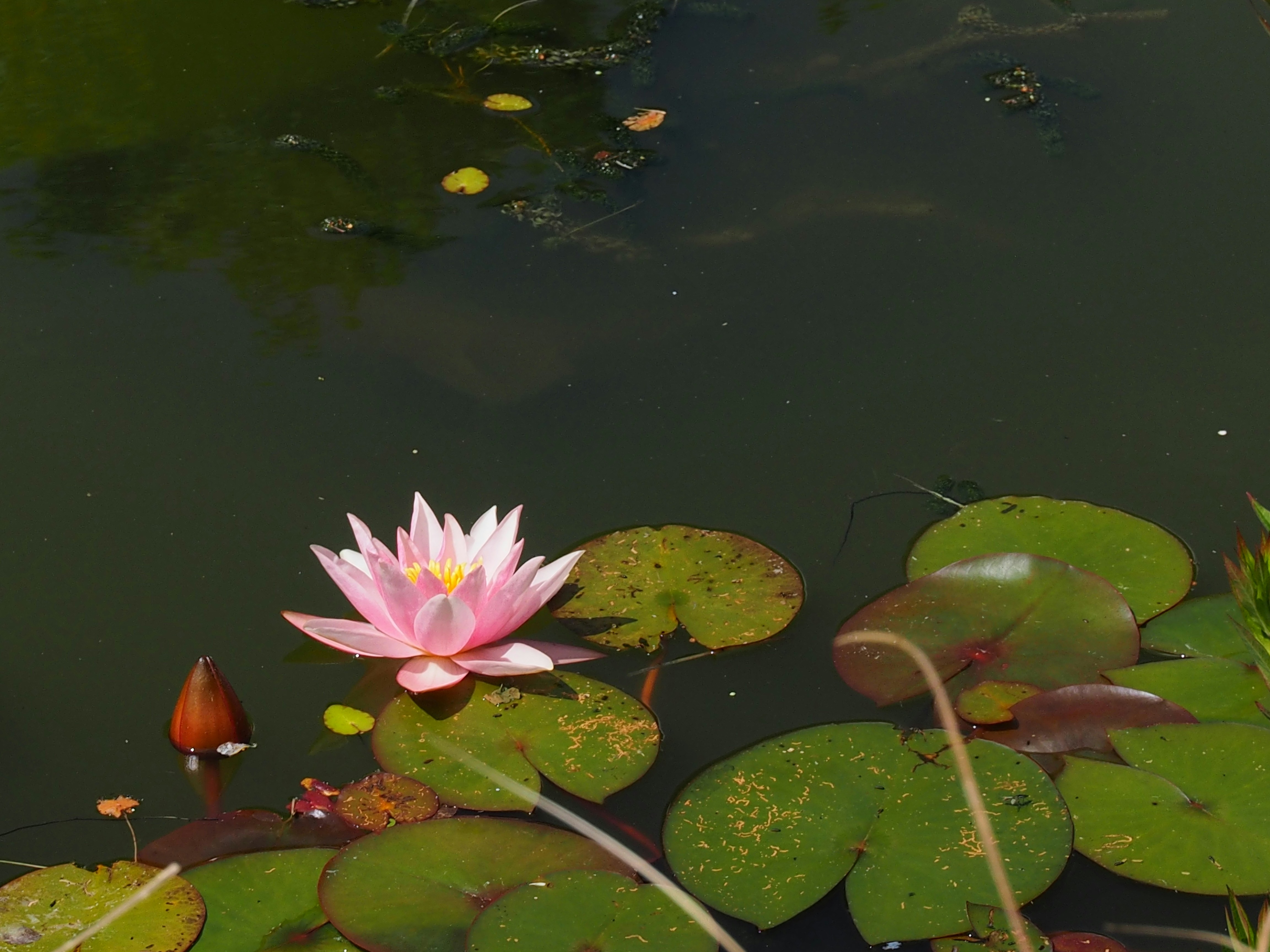 Photo by boarderbloke