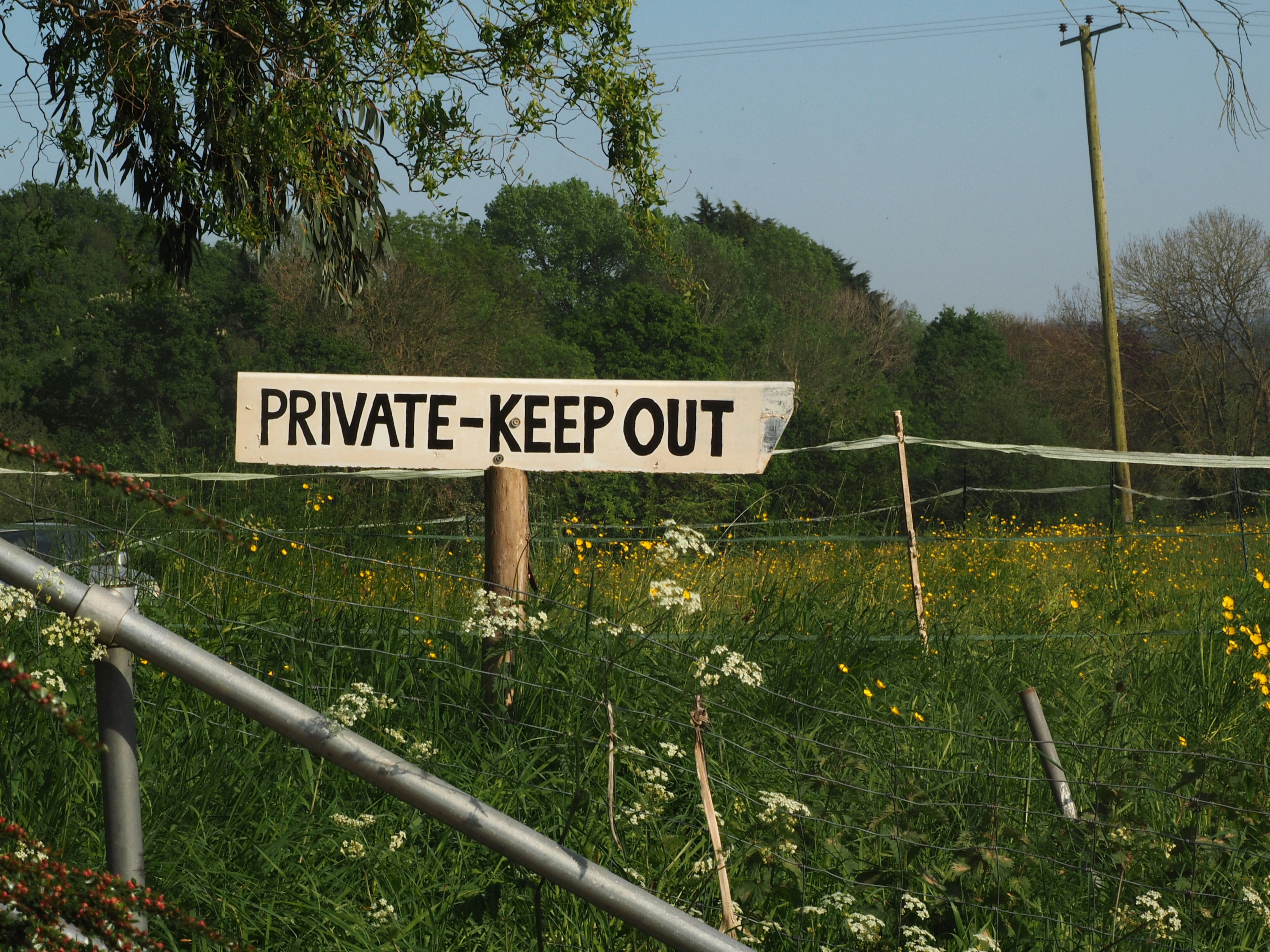 photo-1719161964240-8beec8fb500e?ixid=M3