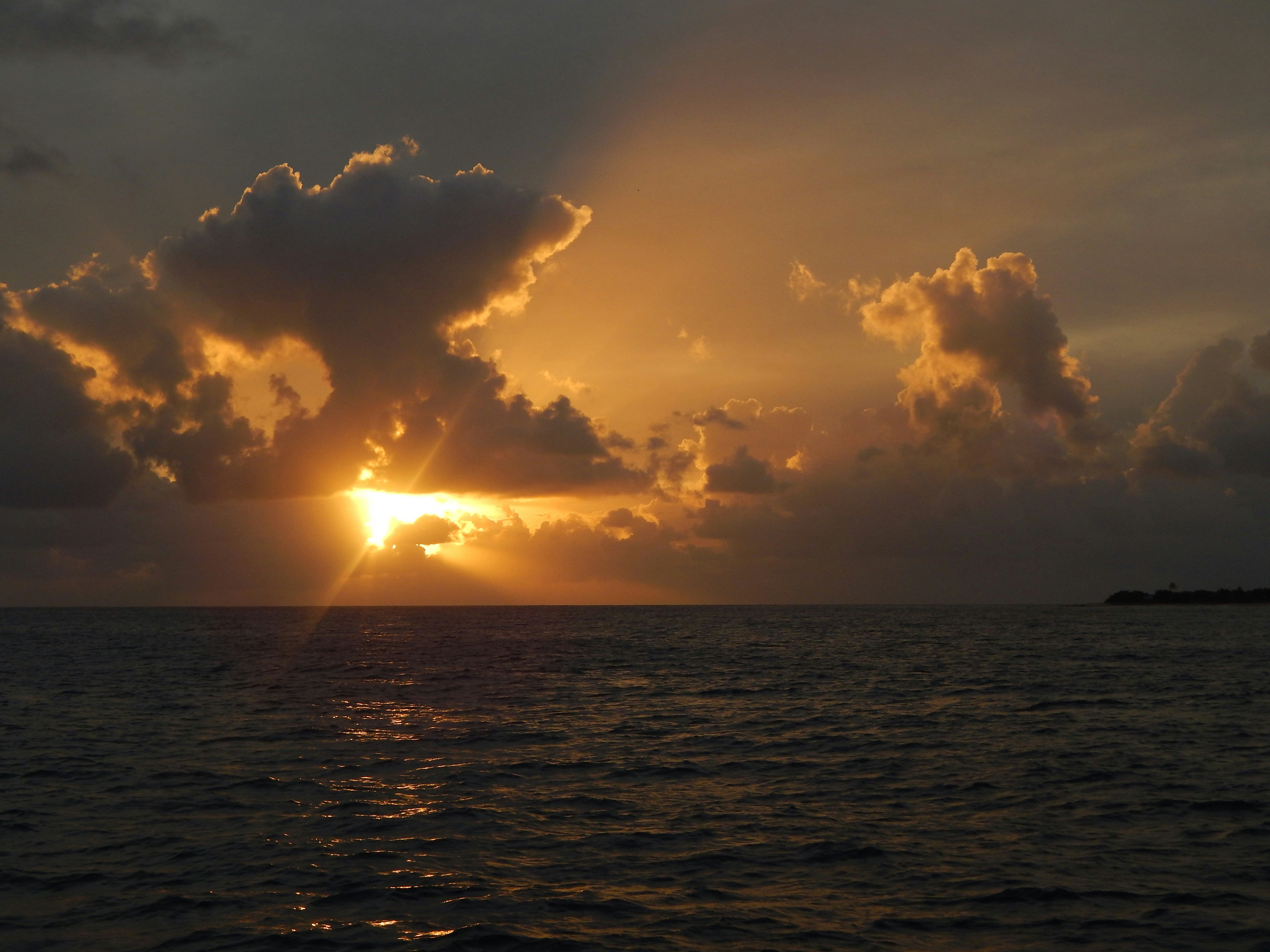 Photo by scarlettweiss