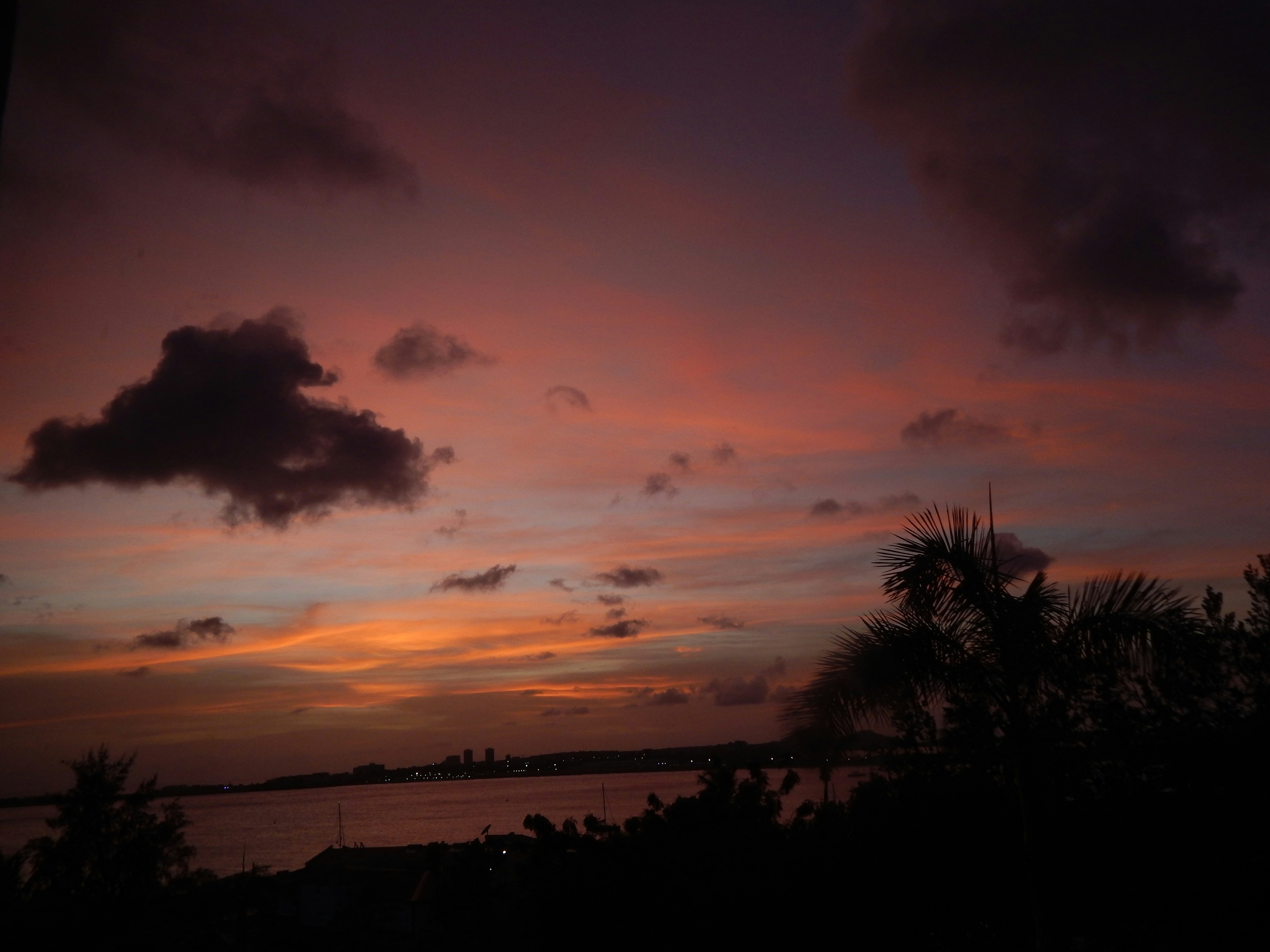 Photo by scarlettweiss