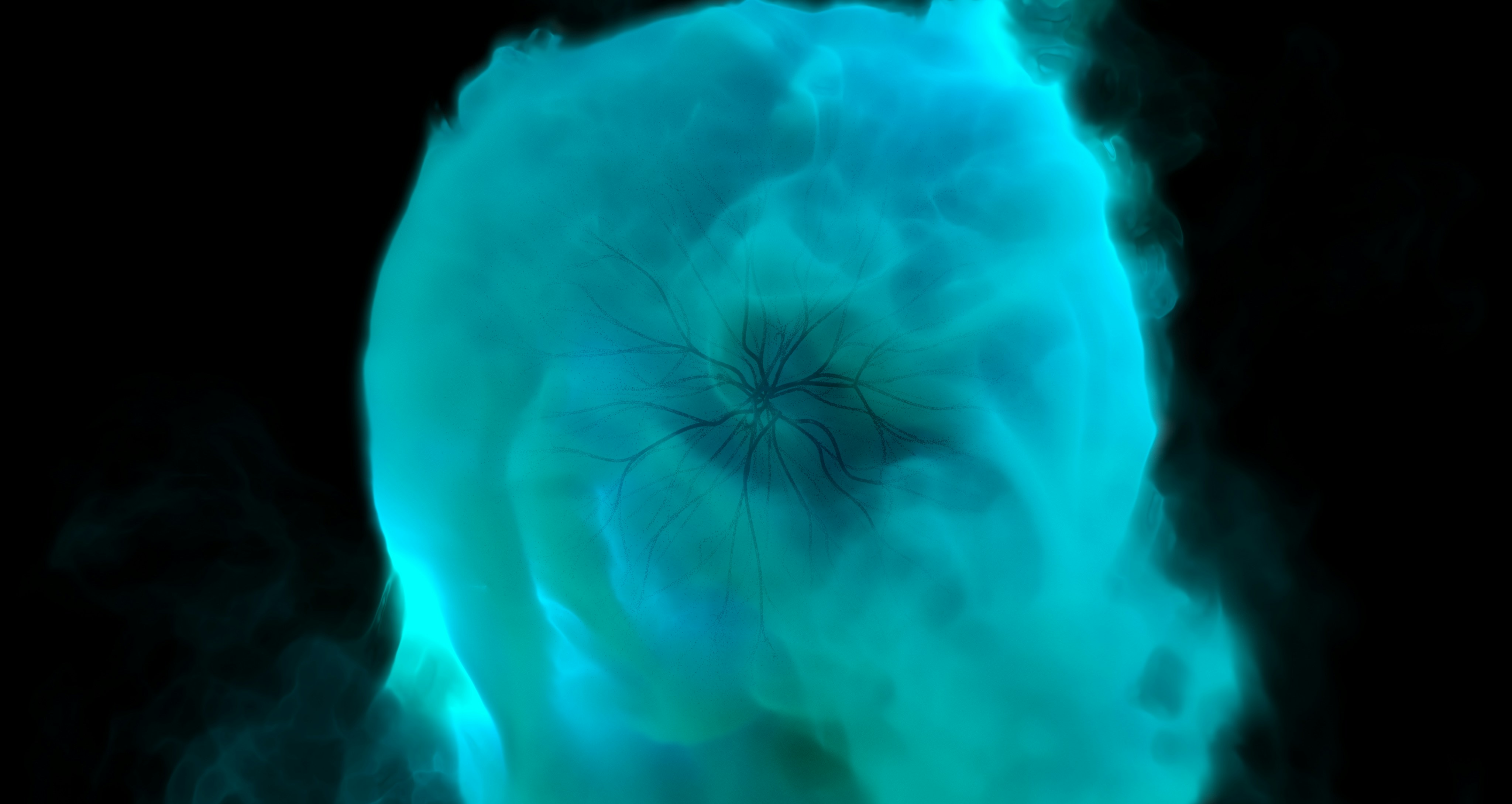 Spectacular Aurora Space remains central to the policy response