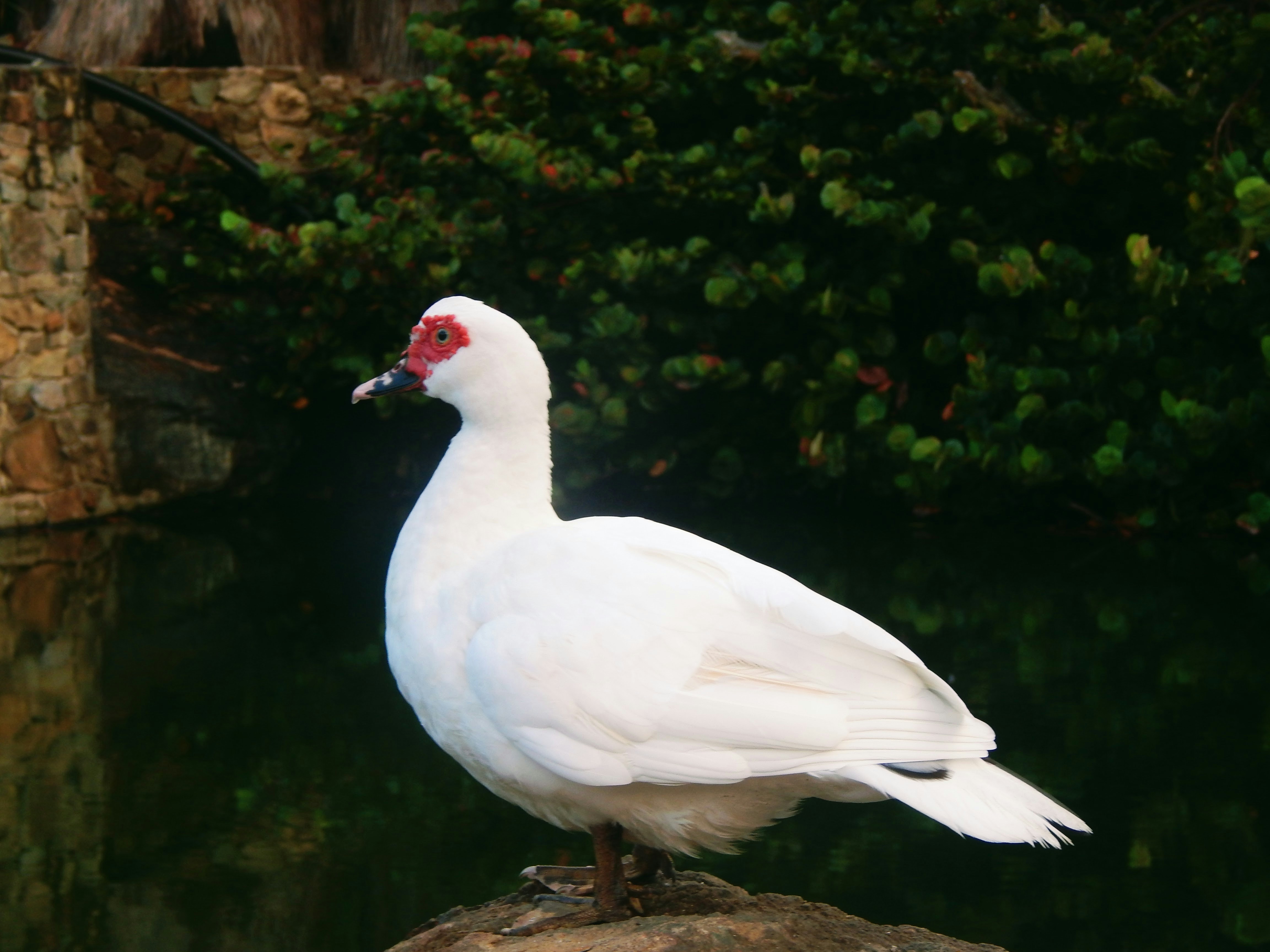 Photo by scarlettweiss