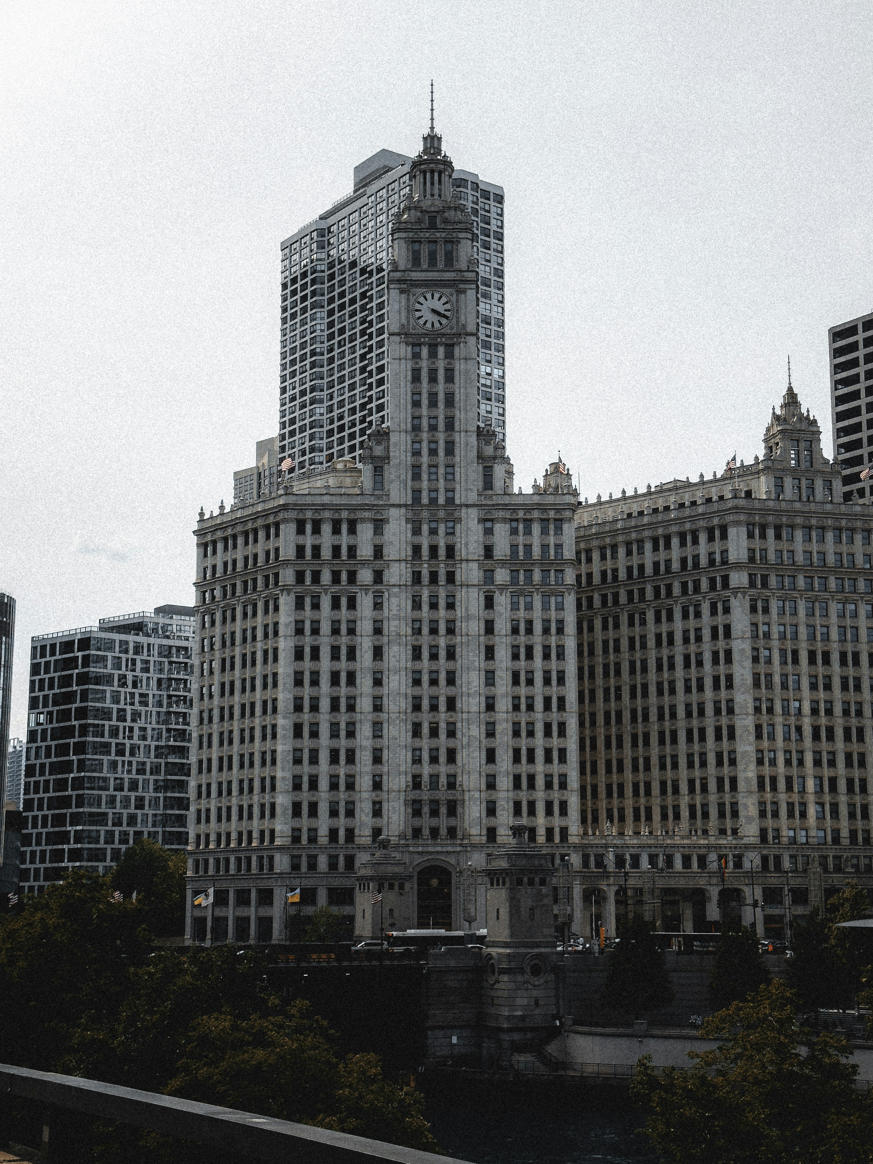 Photo by allenboguslavsky