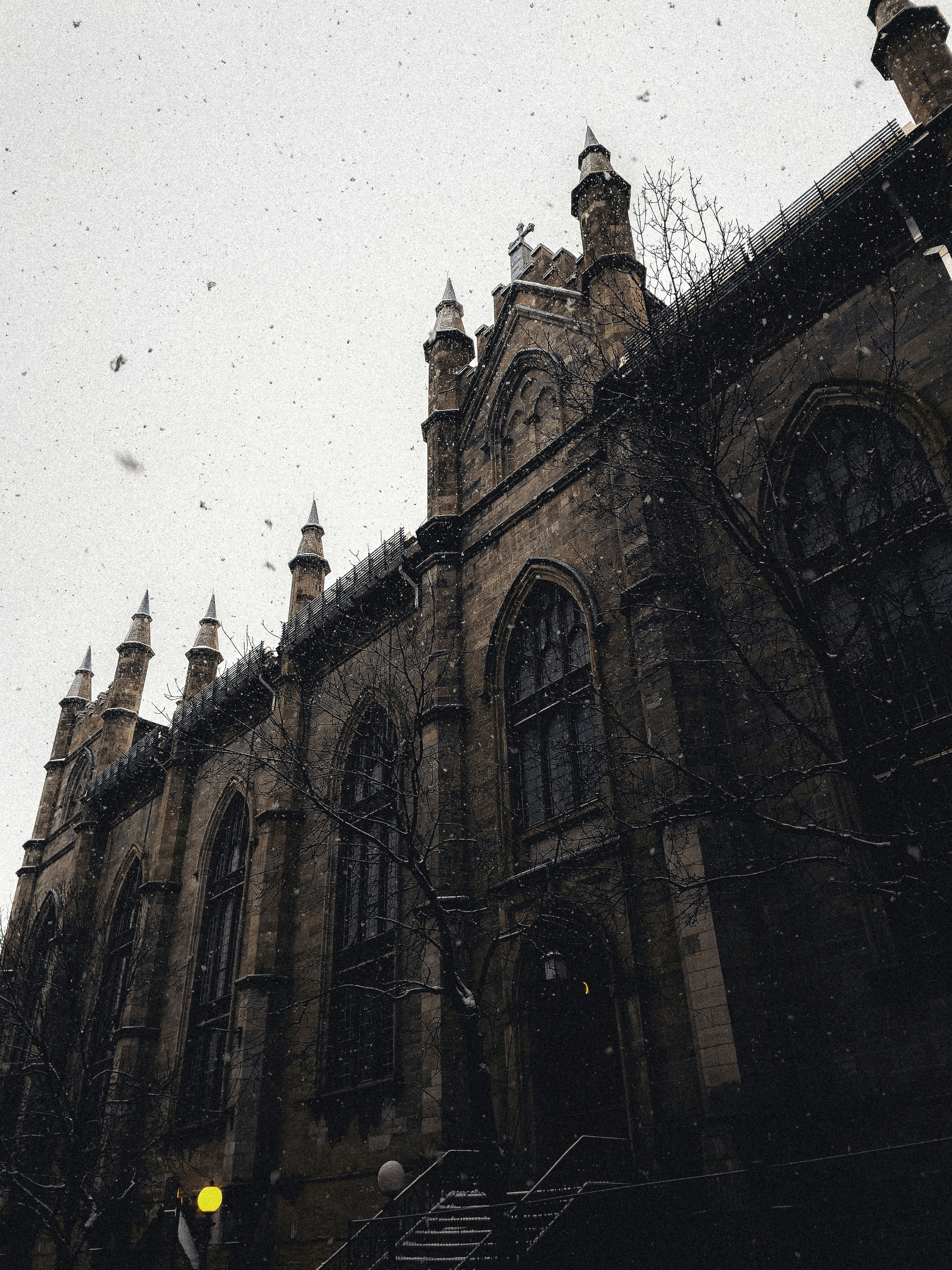 Photo by allenboguslavsky