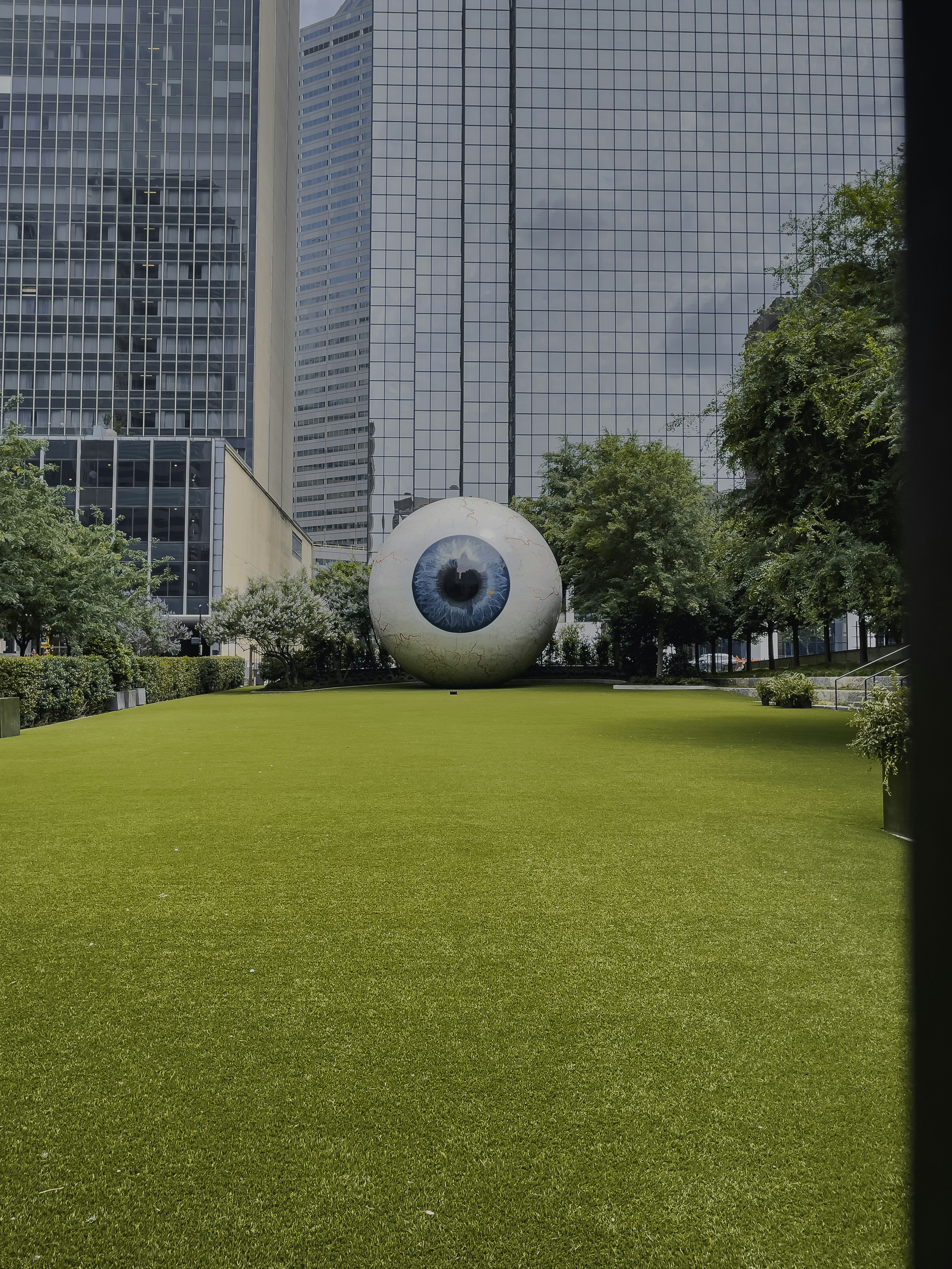 An eyeball in the middle of a grassy field