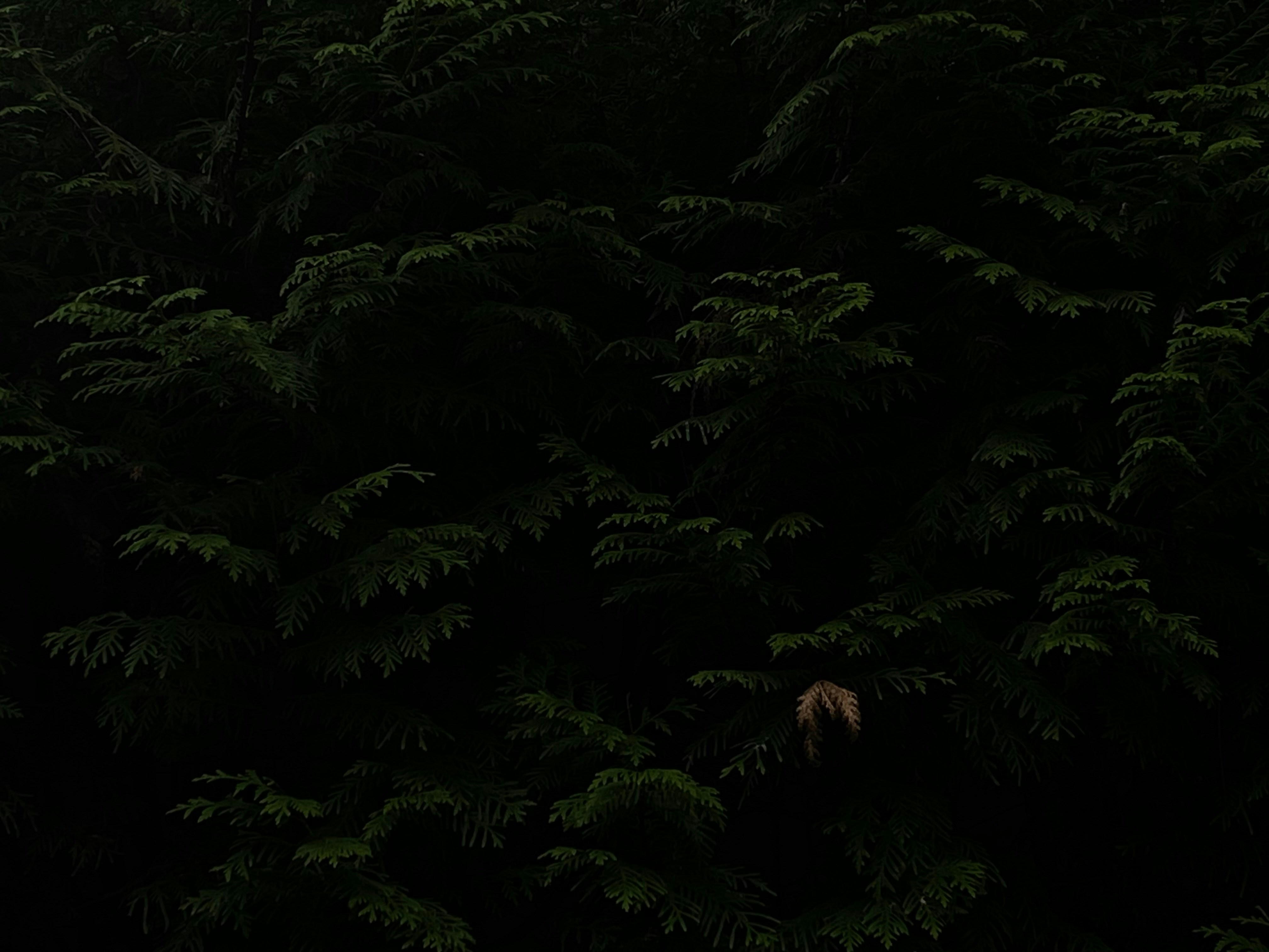 Photo by nataliiasmnchk