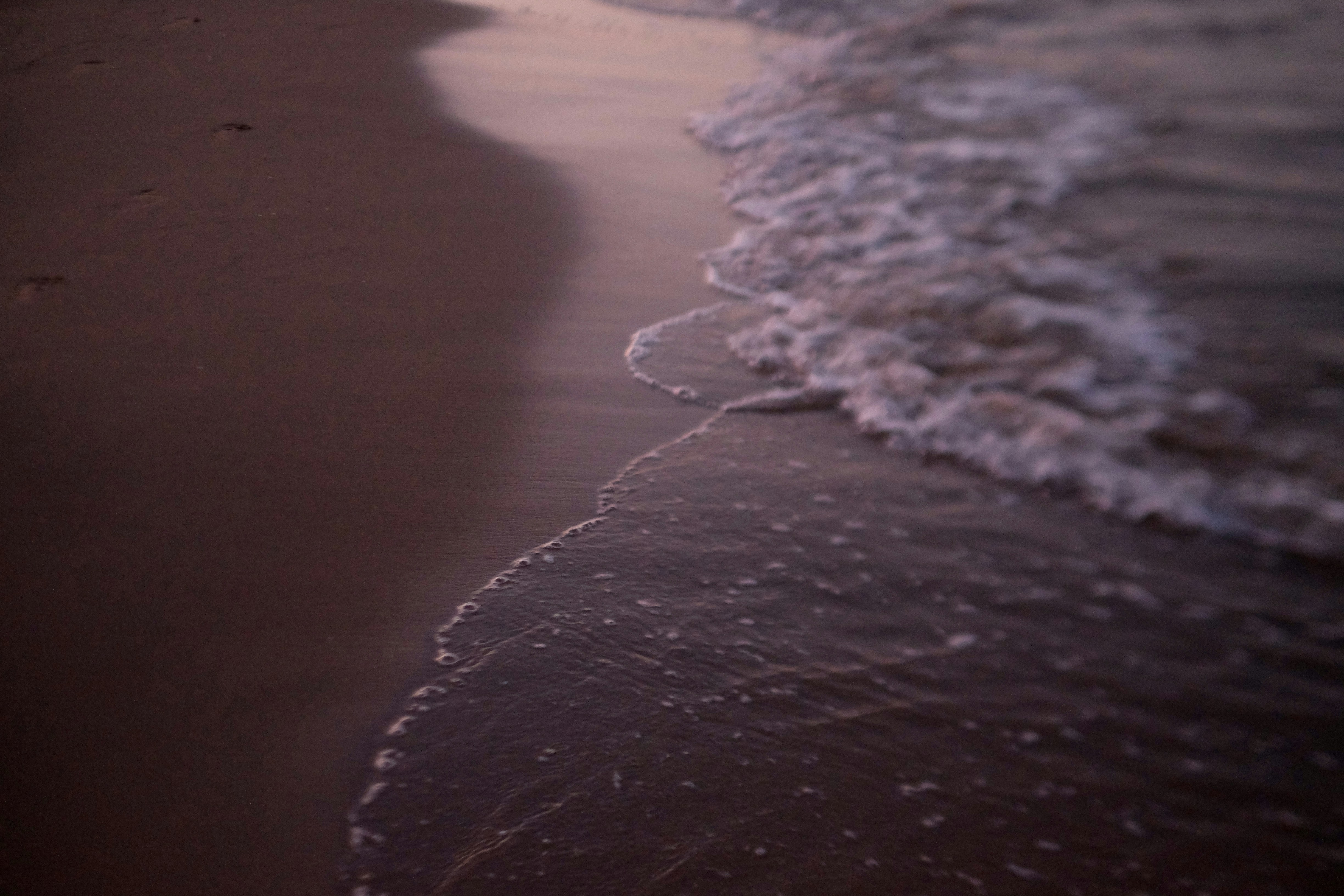 Photo by jonasgarcia