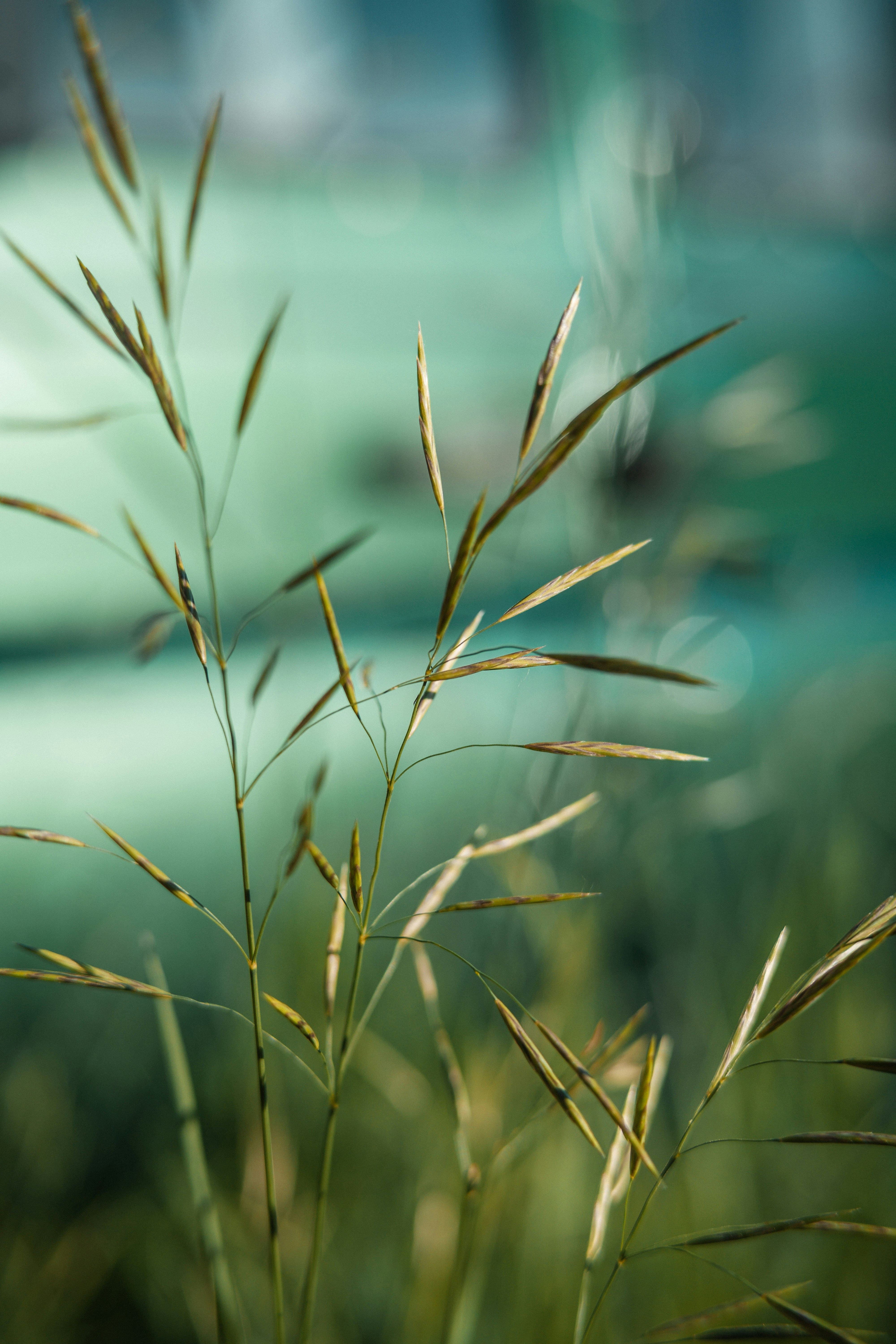 Photo by anamnesis33