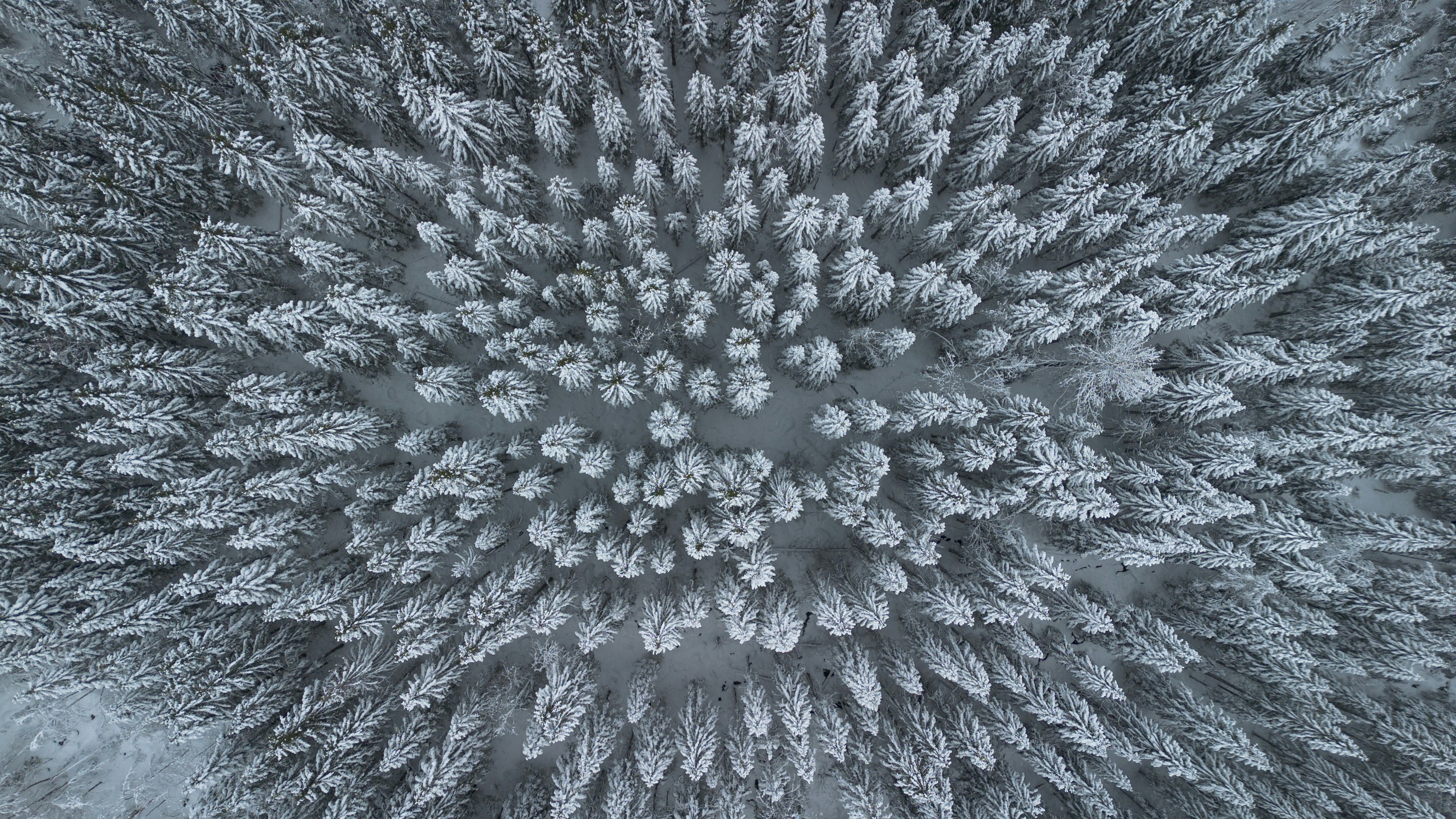 An overhead view of a snow covered field
