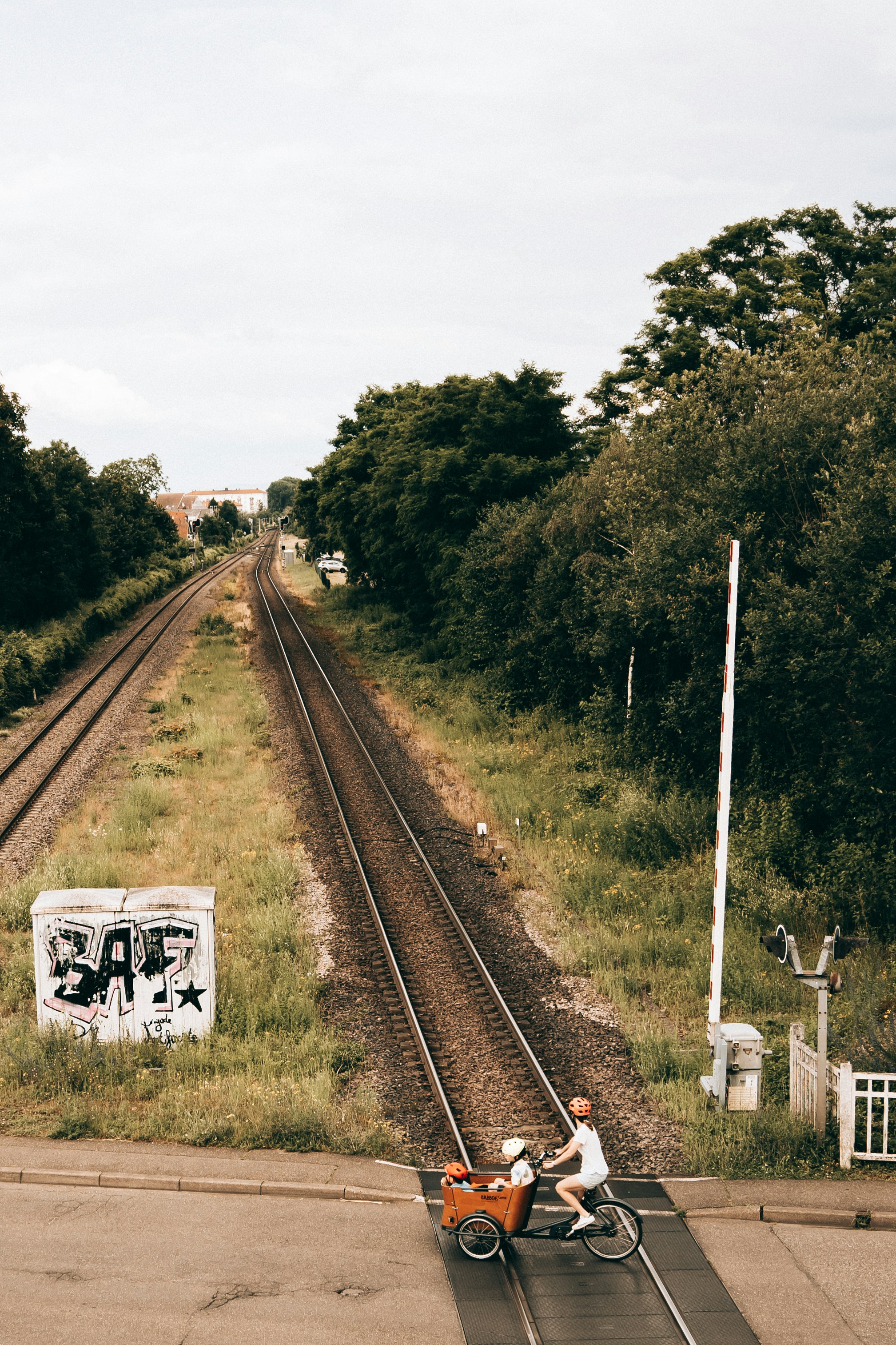 Photo by hassananayi