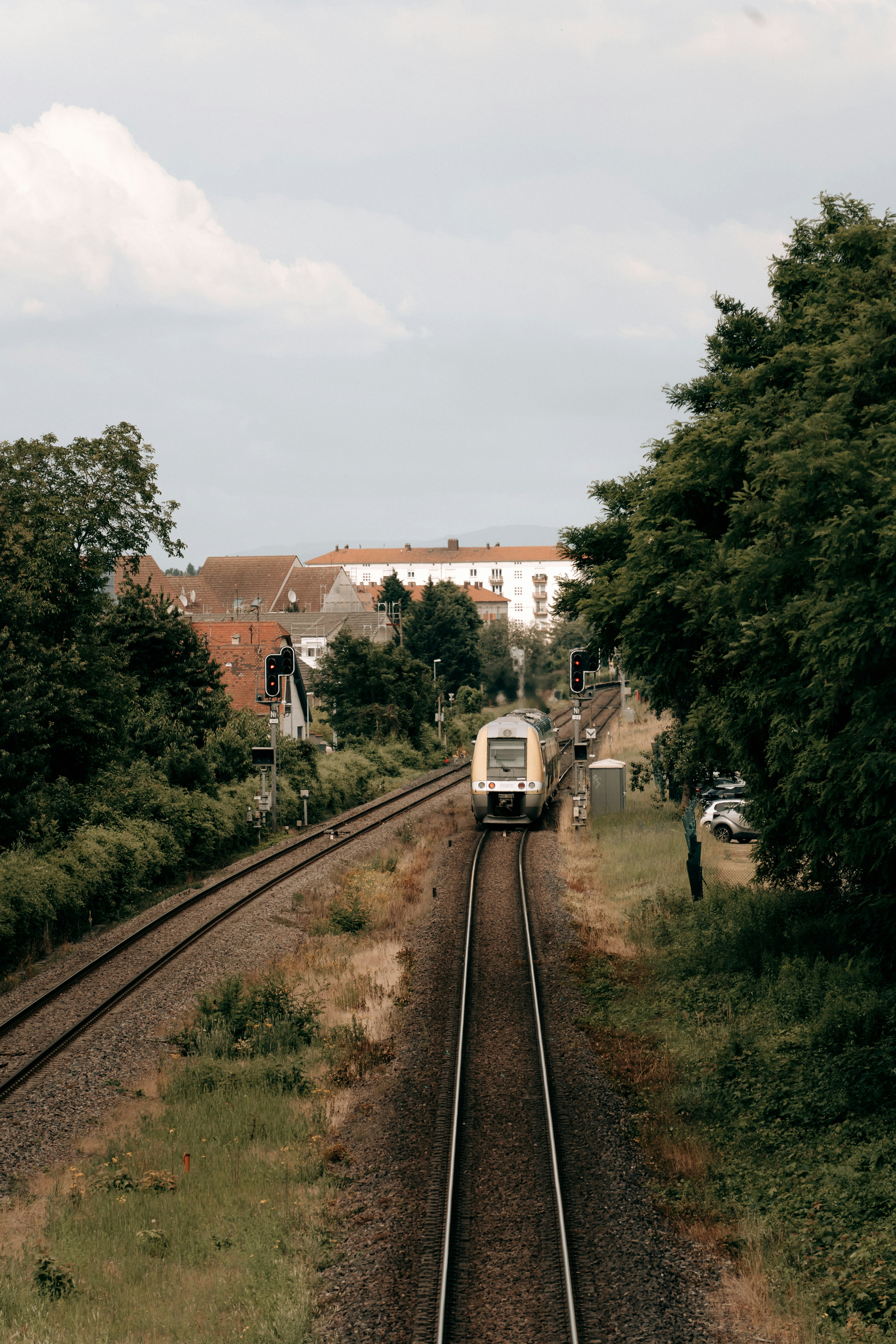 Photo by hassananayi