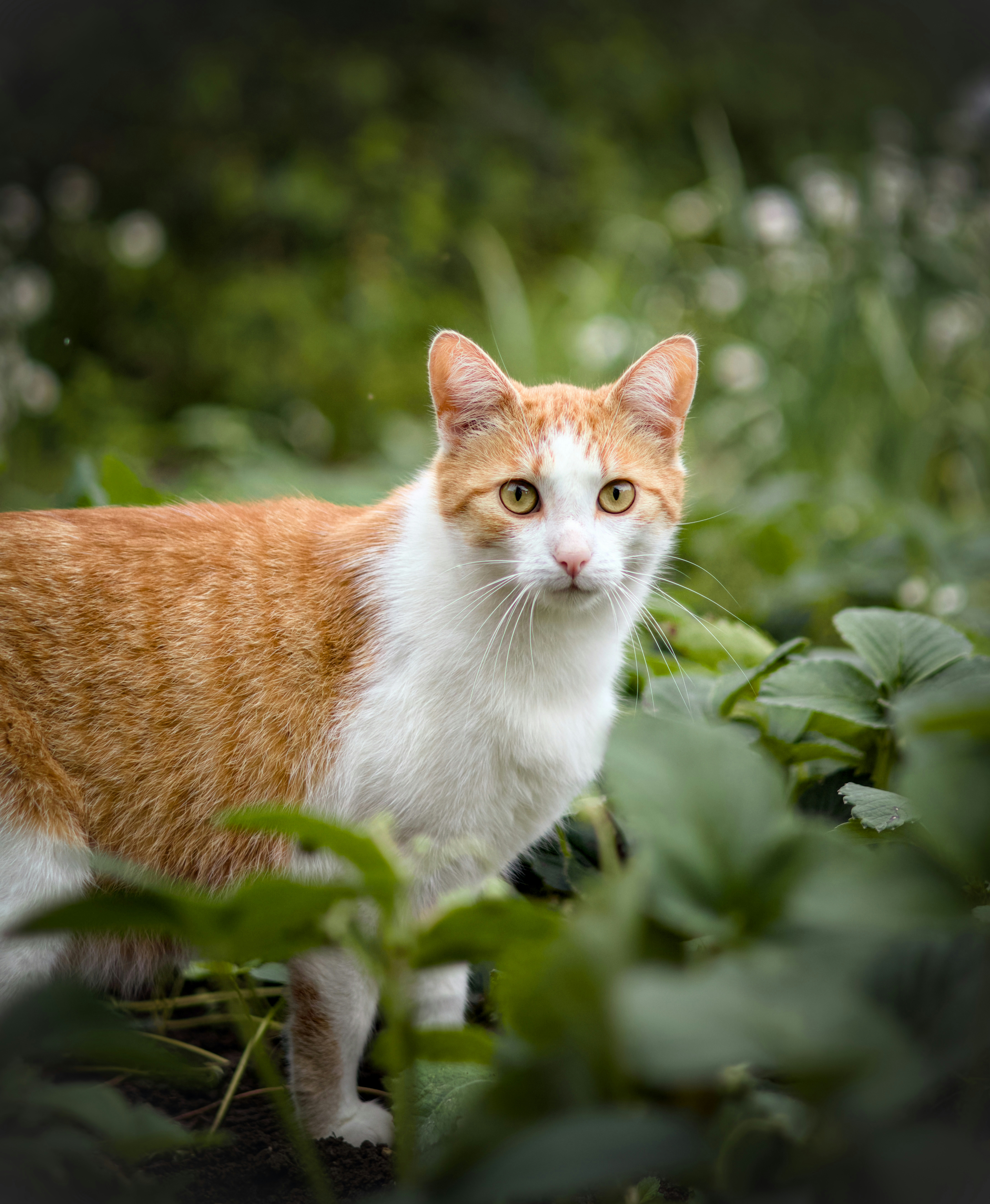 Photo by nottwentyseven