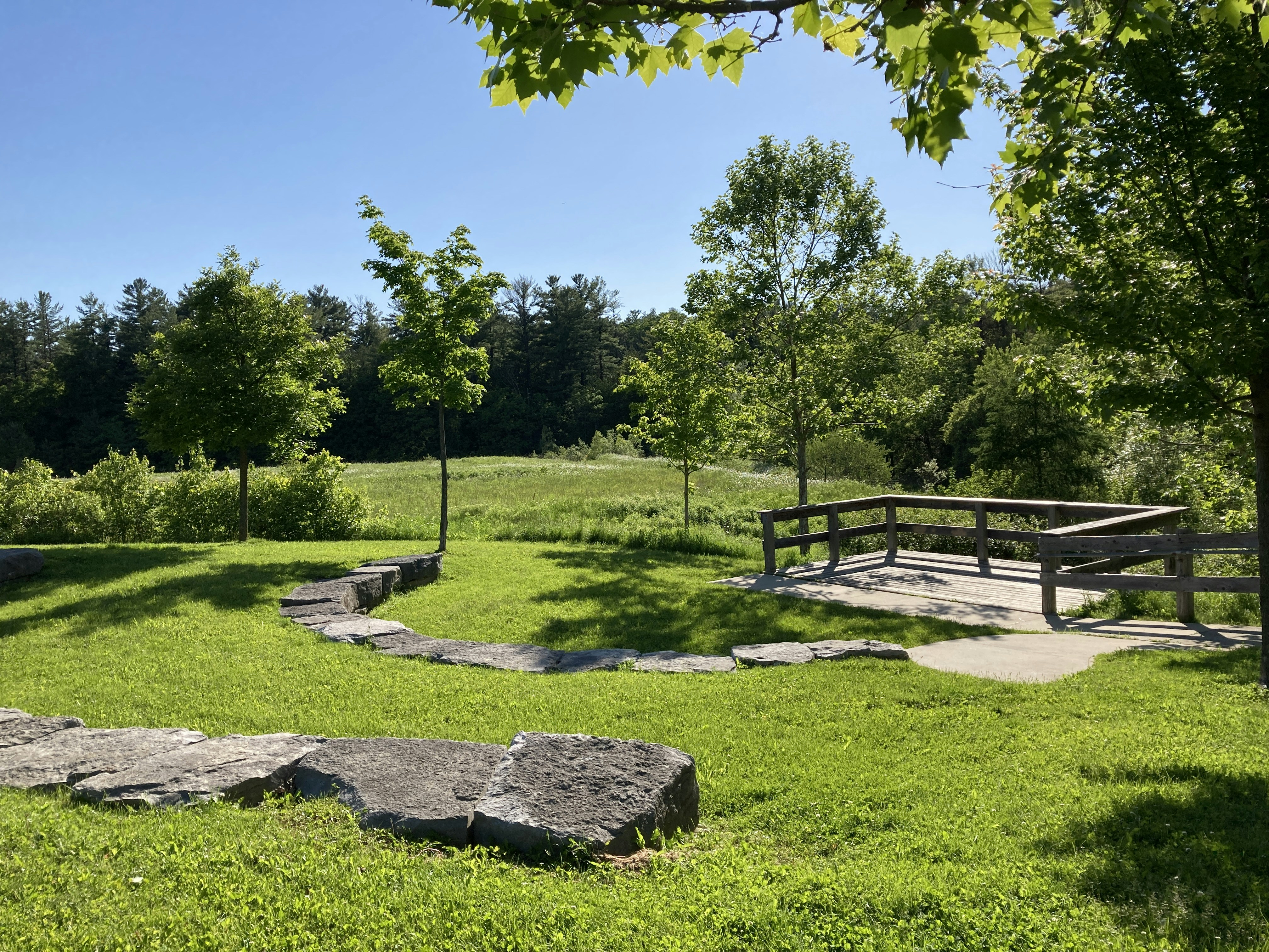 A park with a picnic table and picnic benches