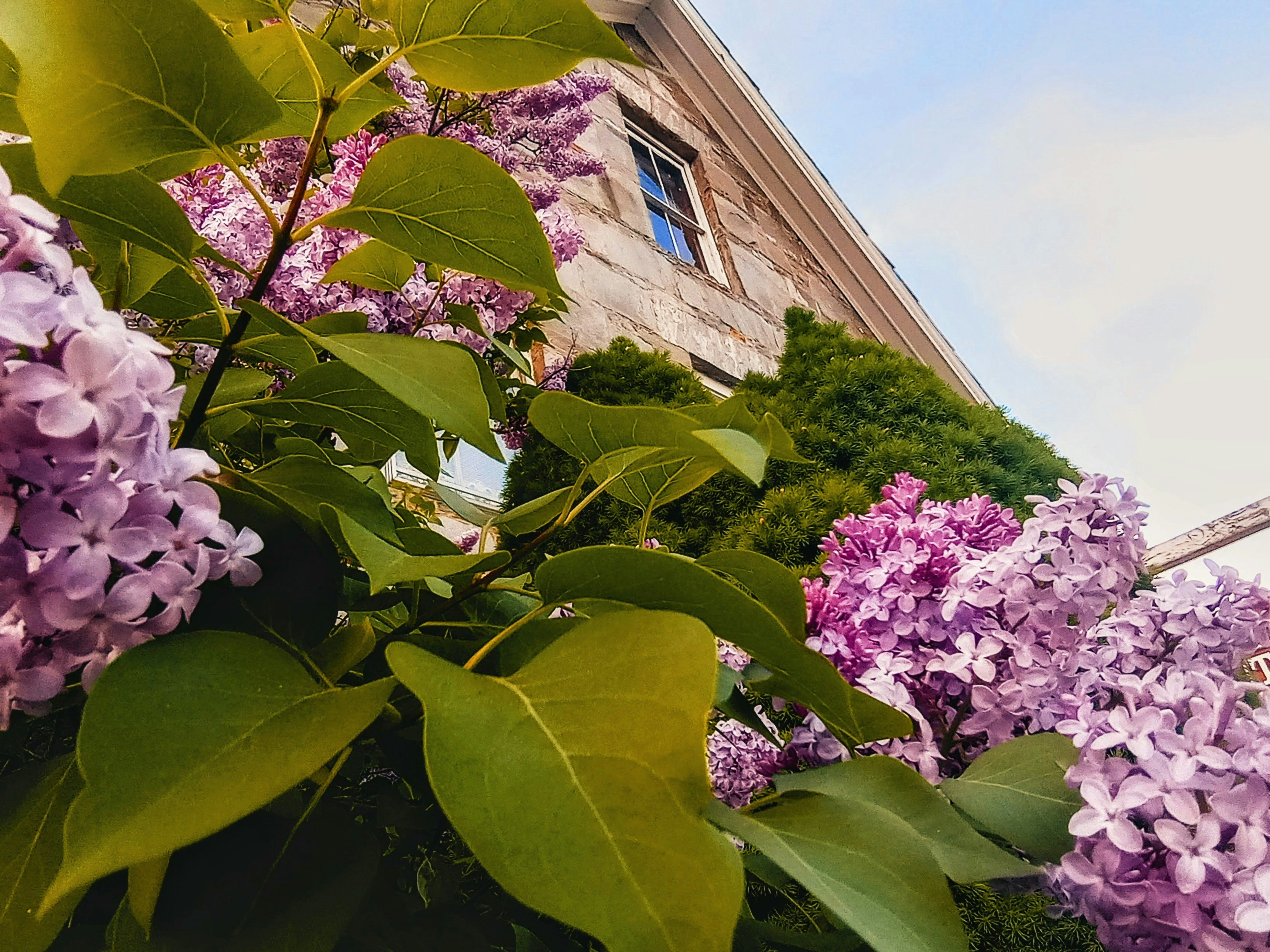 Photo by grimmie_and_ghostlie