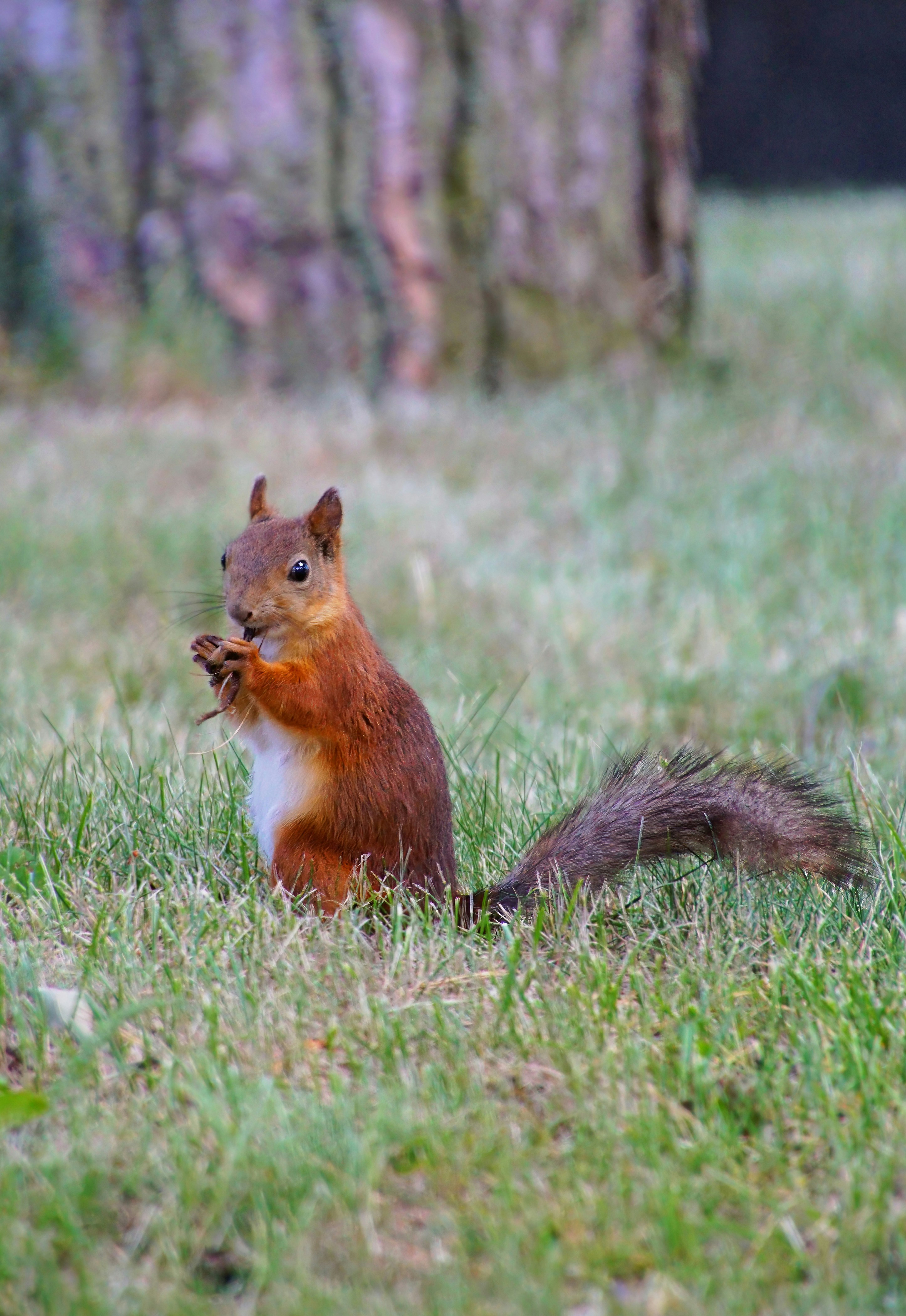 Photo by marttisalmi