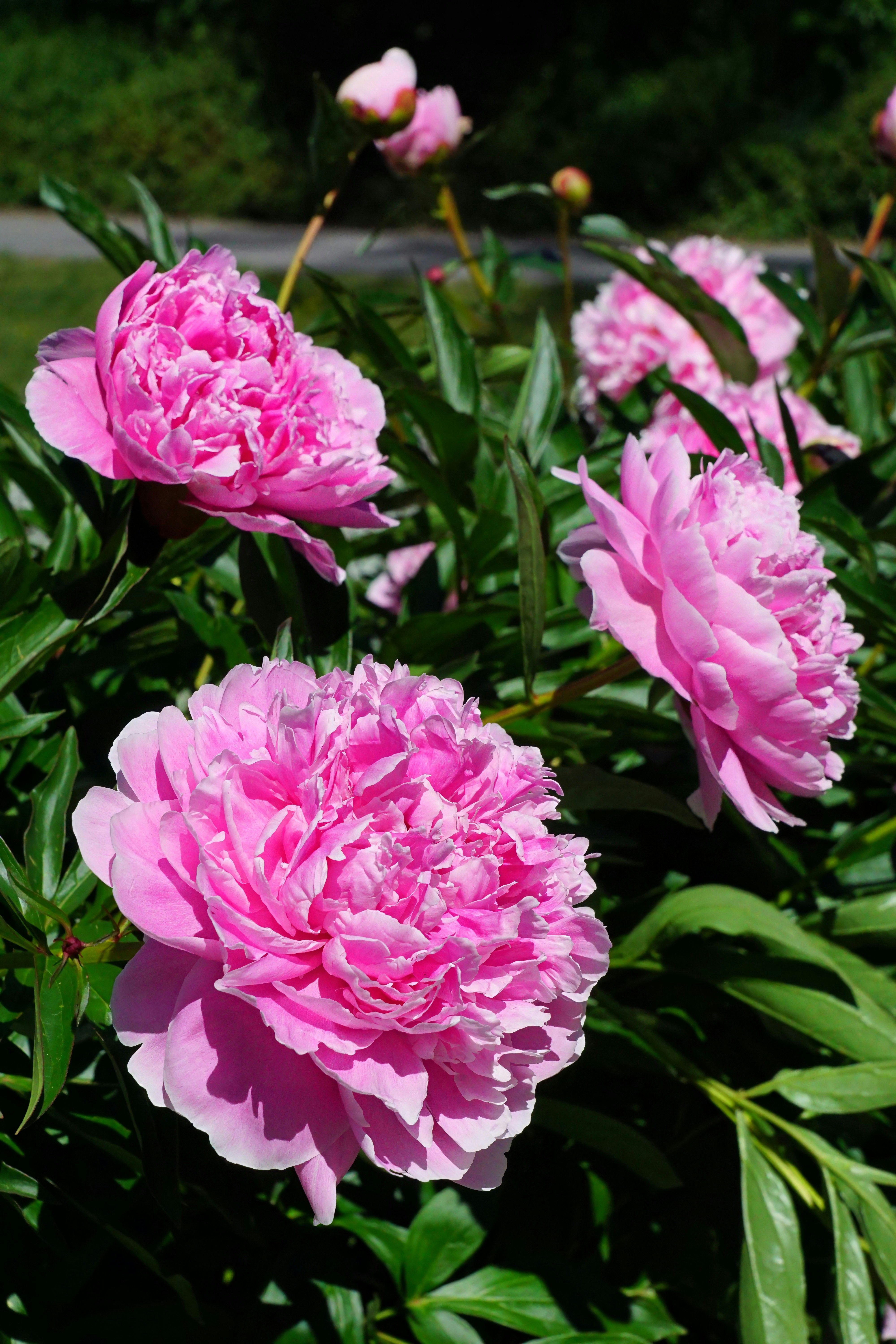 Photo by marttisalmi