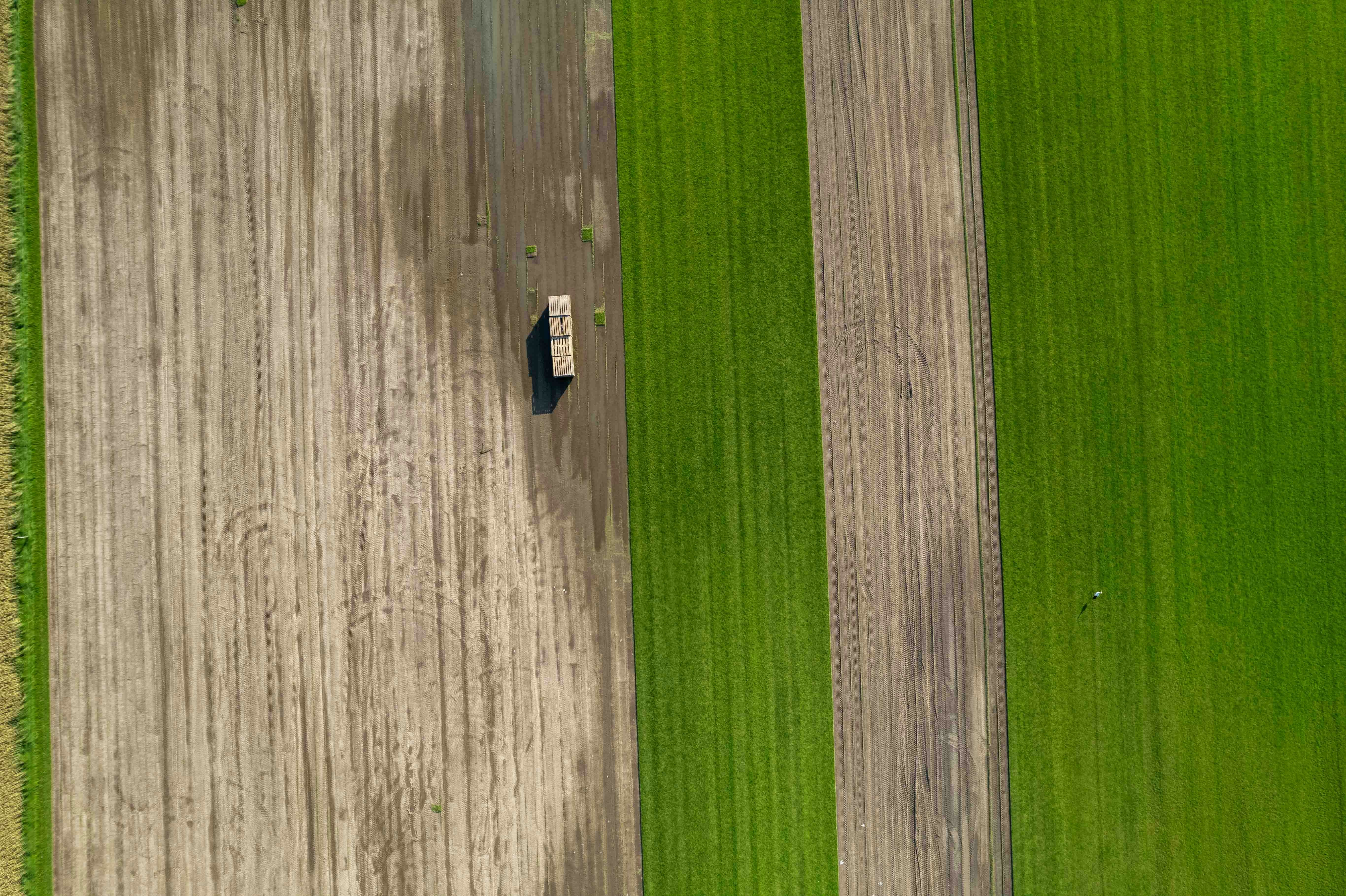 Agricultural Field with Tractor