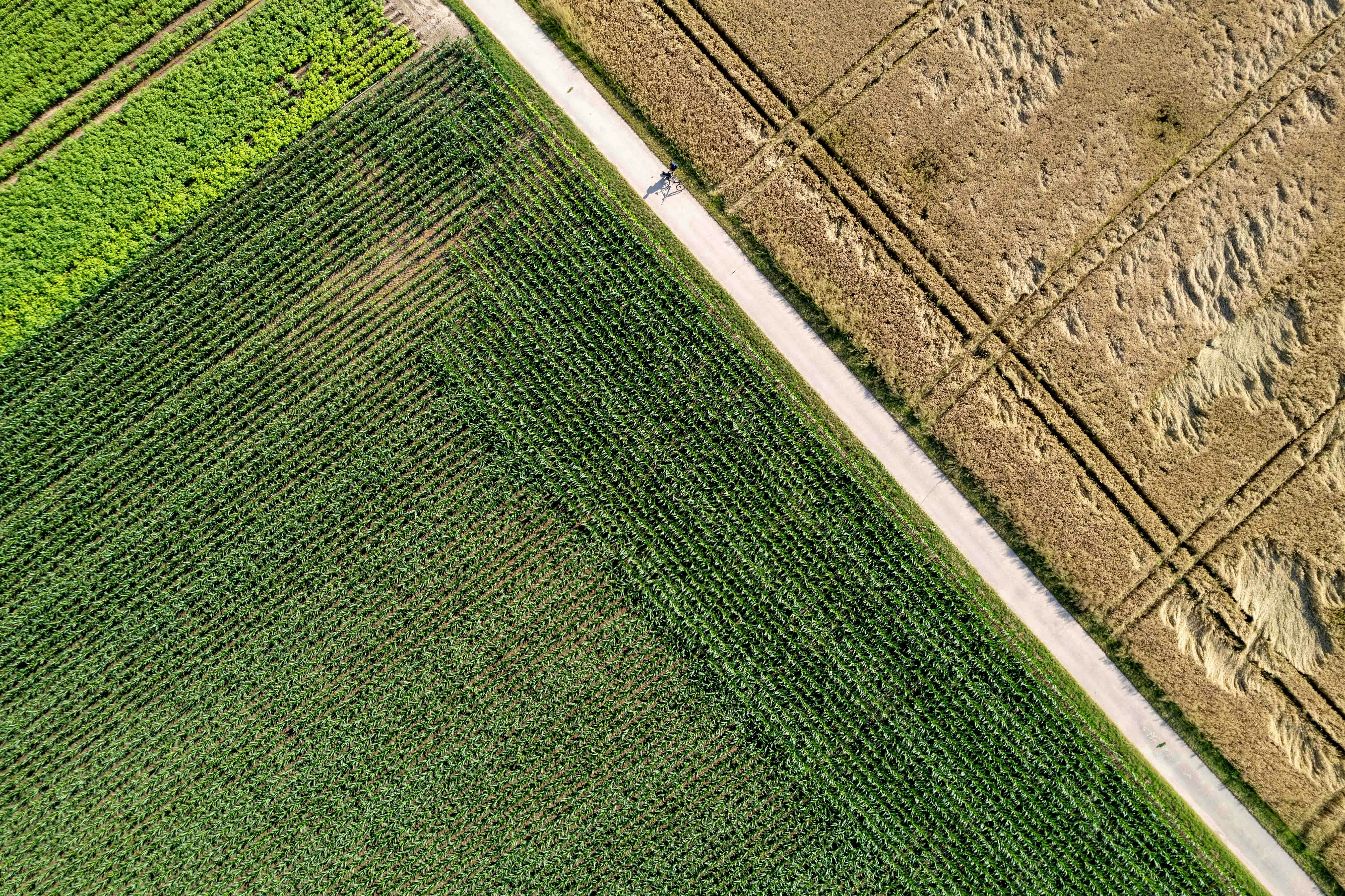 Farm Estate with Road Access