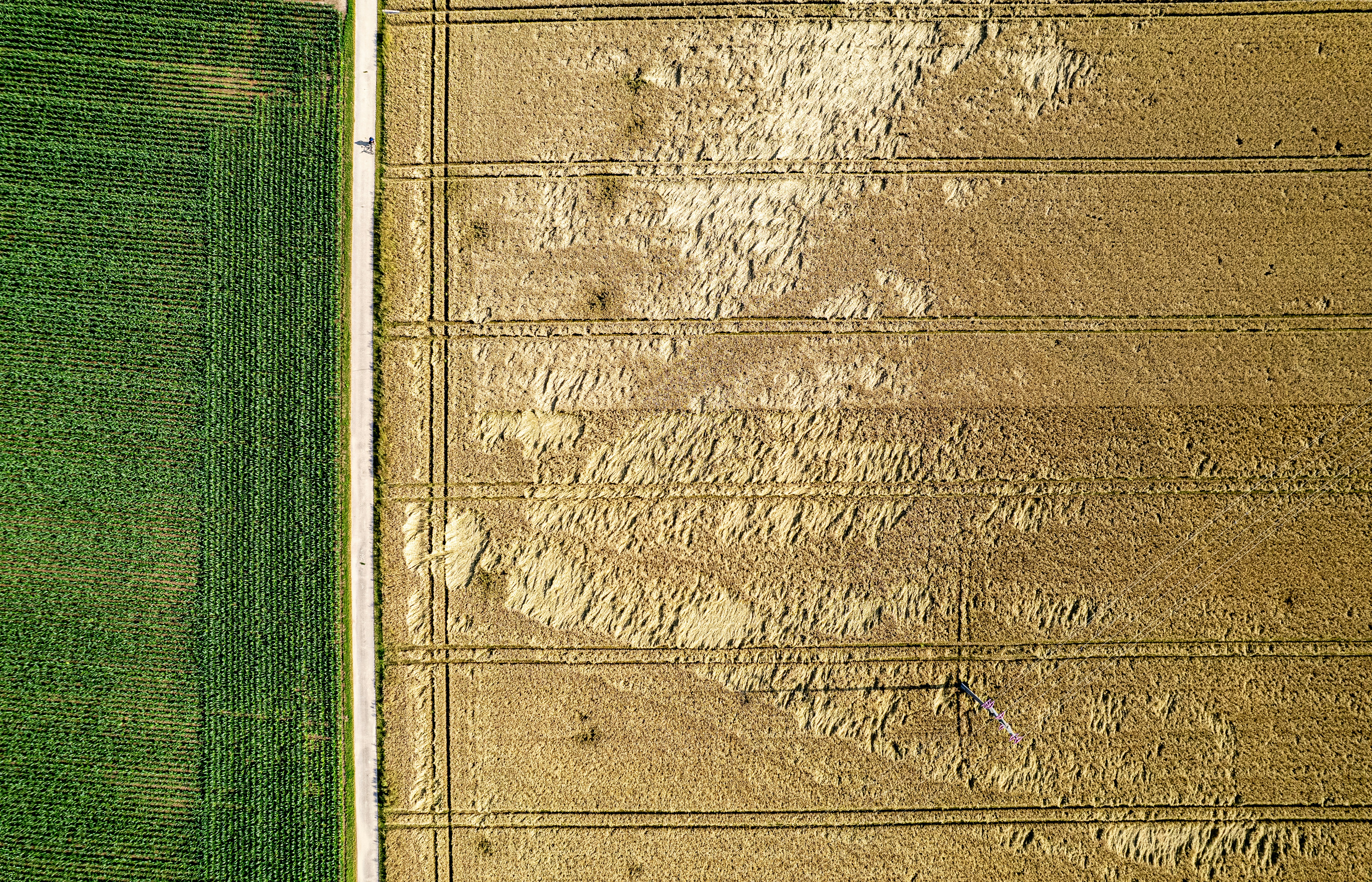 An aerial view of a farm field with a bird's eye view of the