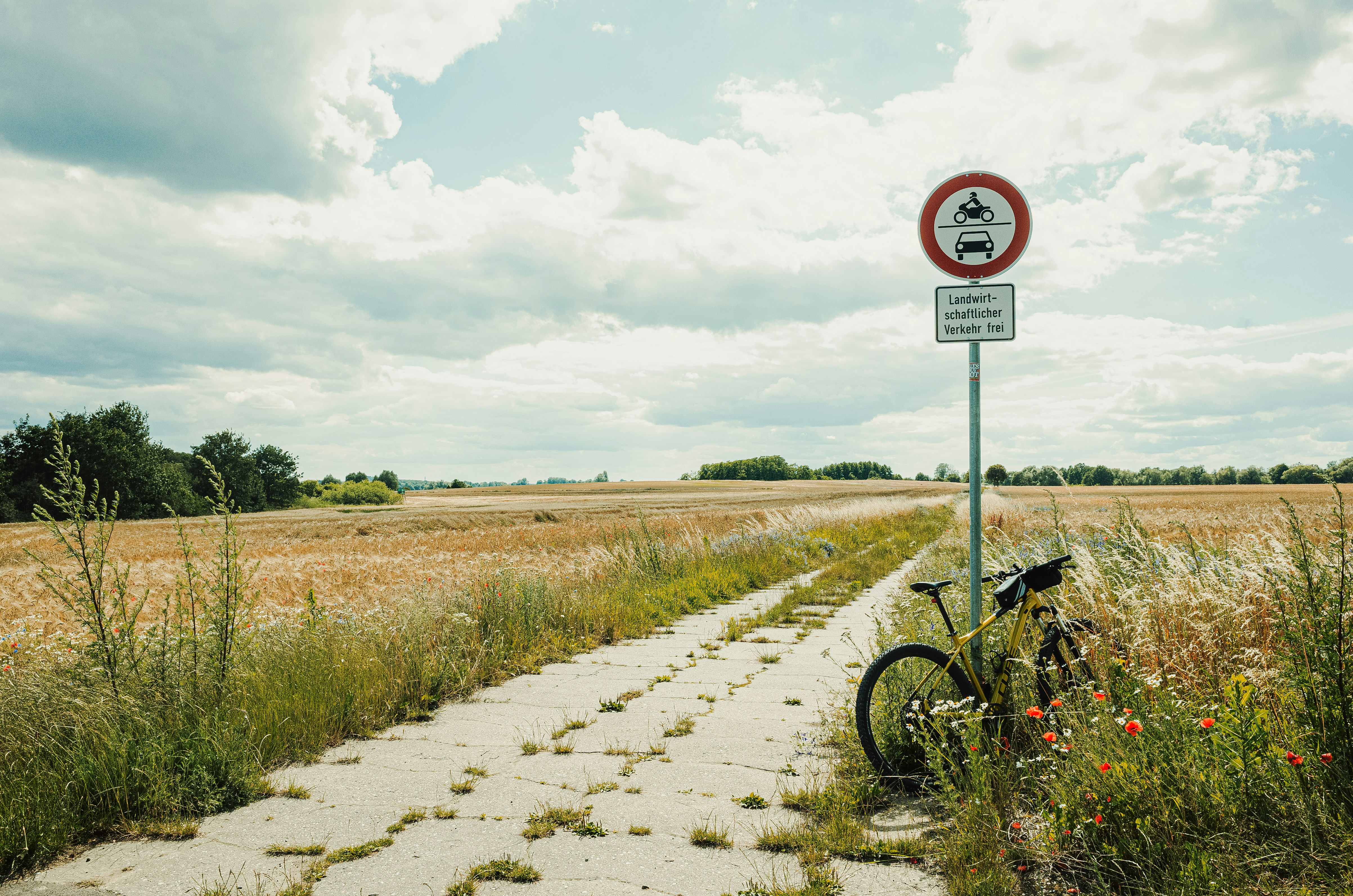 A bike parked on the side of a dirt road
