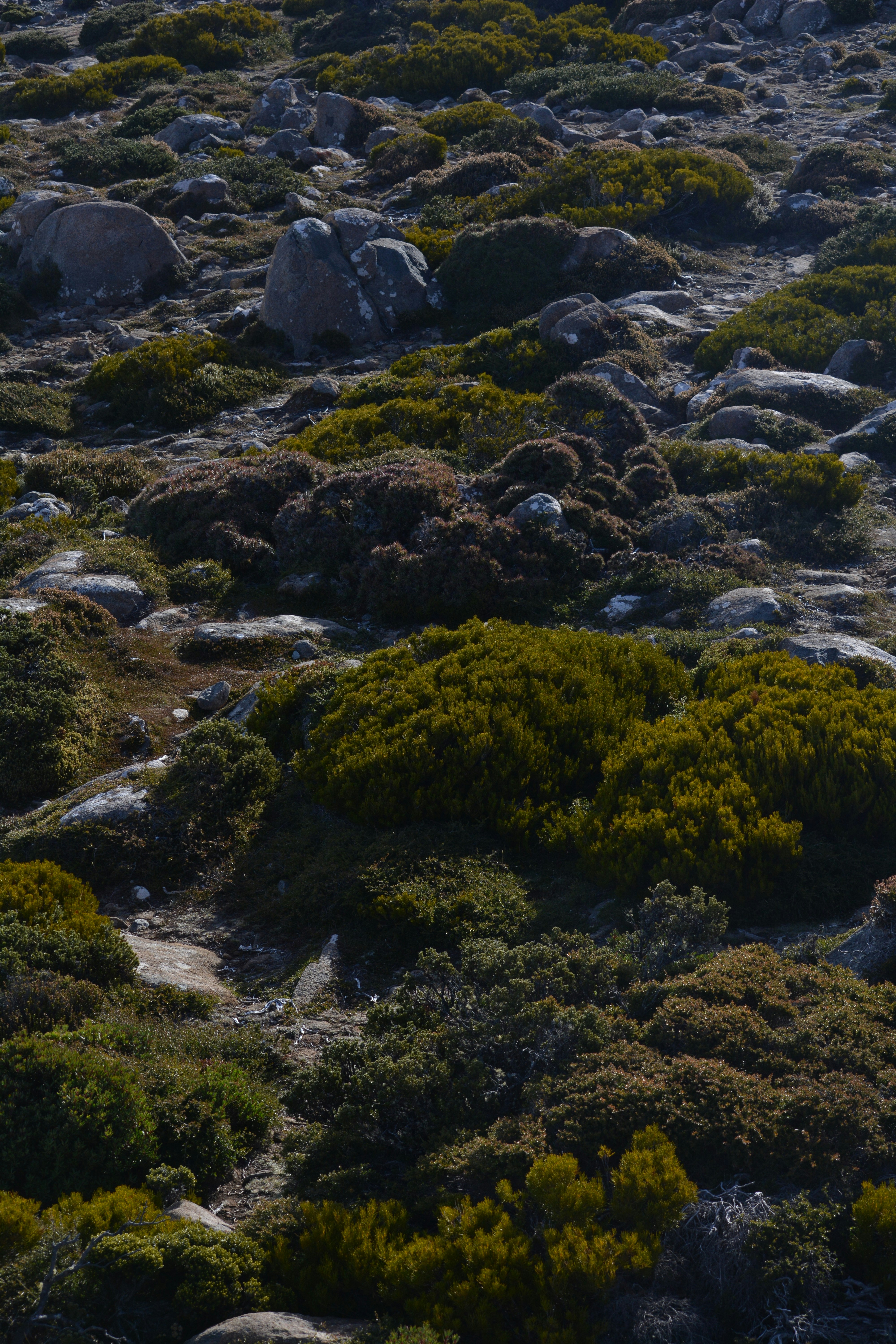 Photo by harlan_ashworth