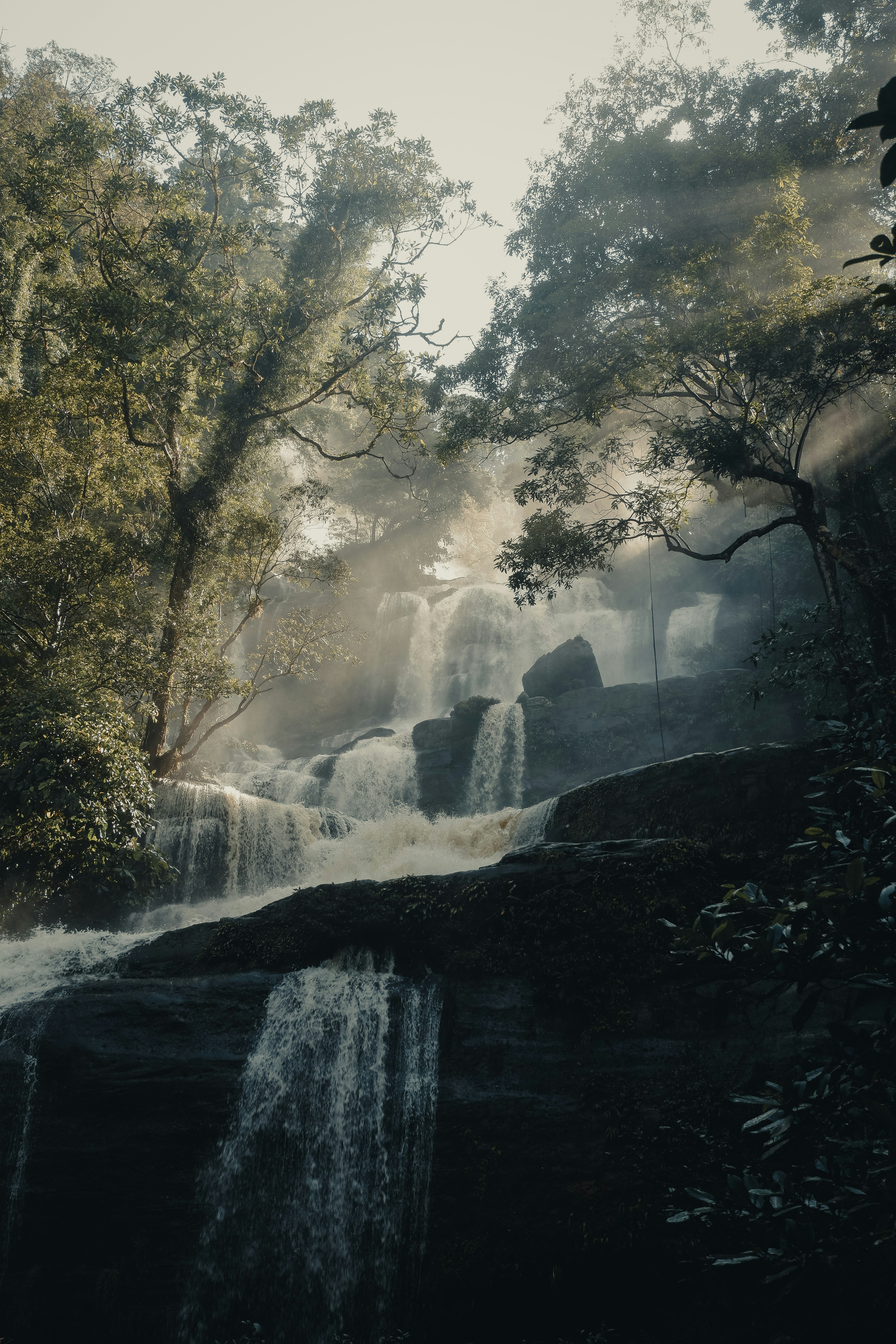 Una cascada en medio de un bosque