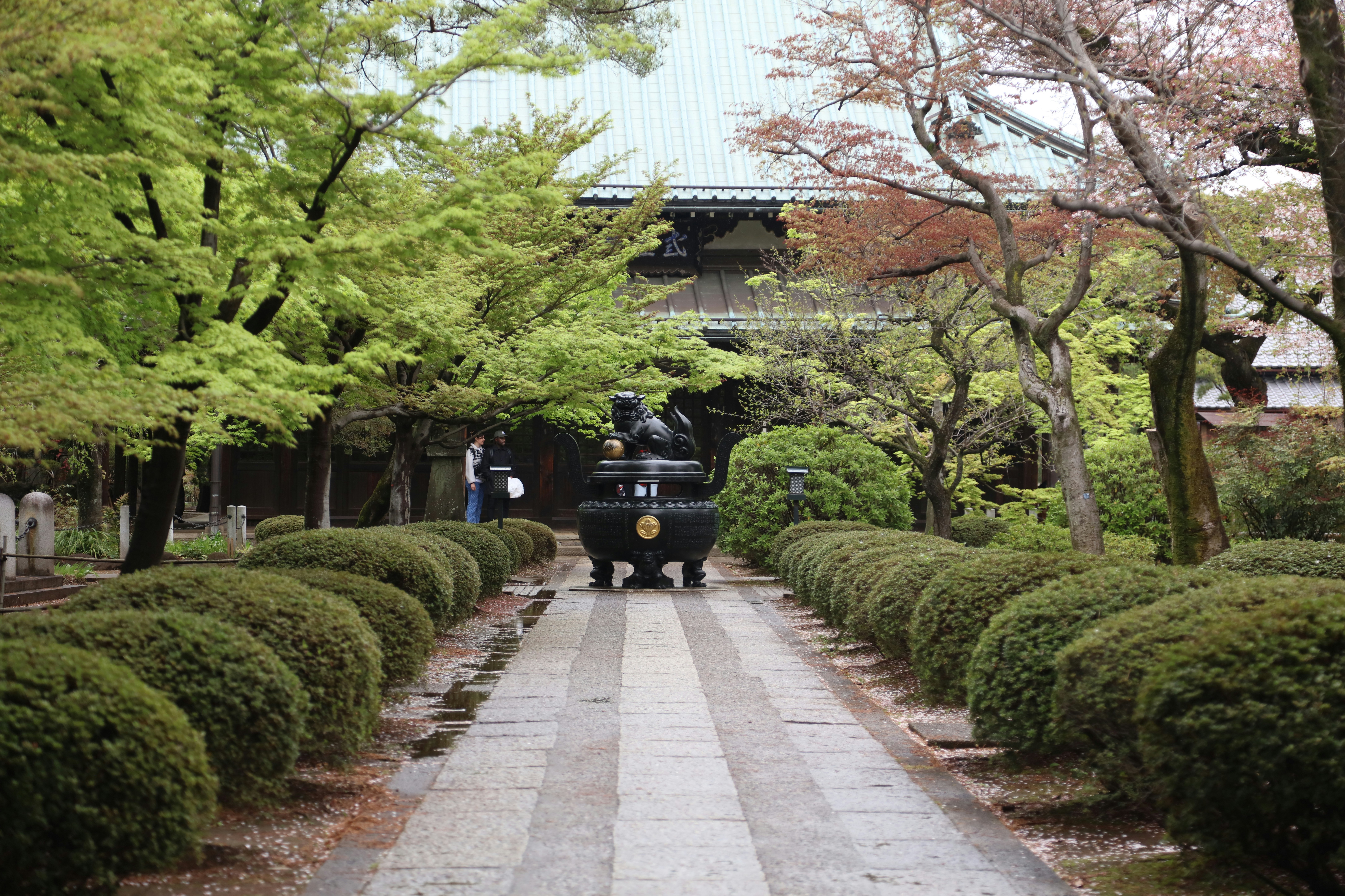 A train traveling through a lush green park