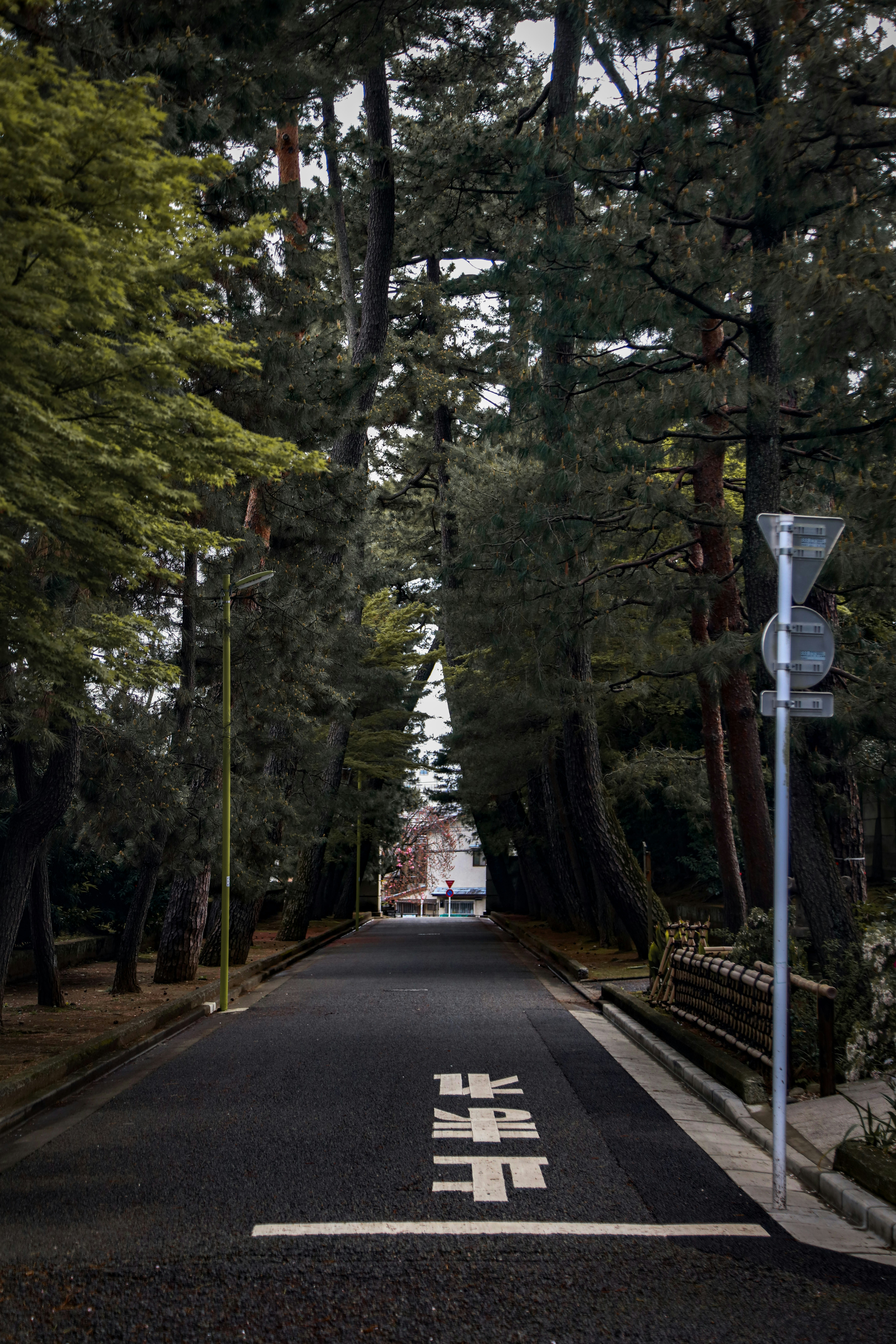 An empty street with a sign on the side of it