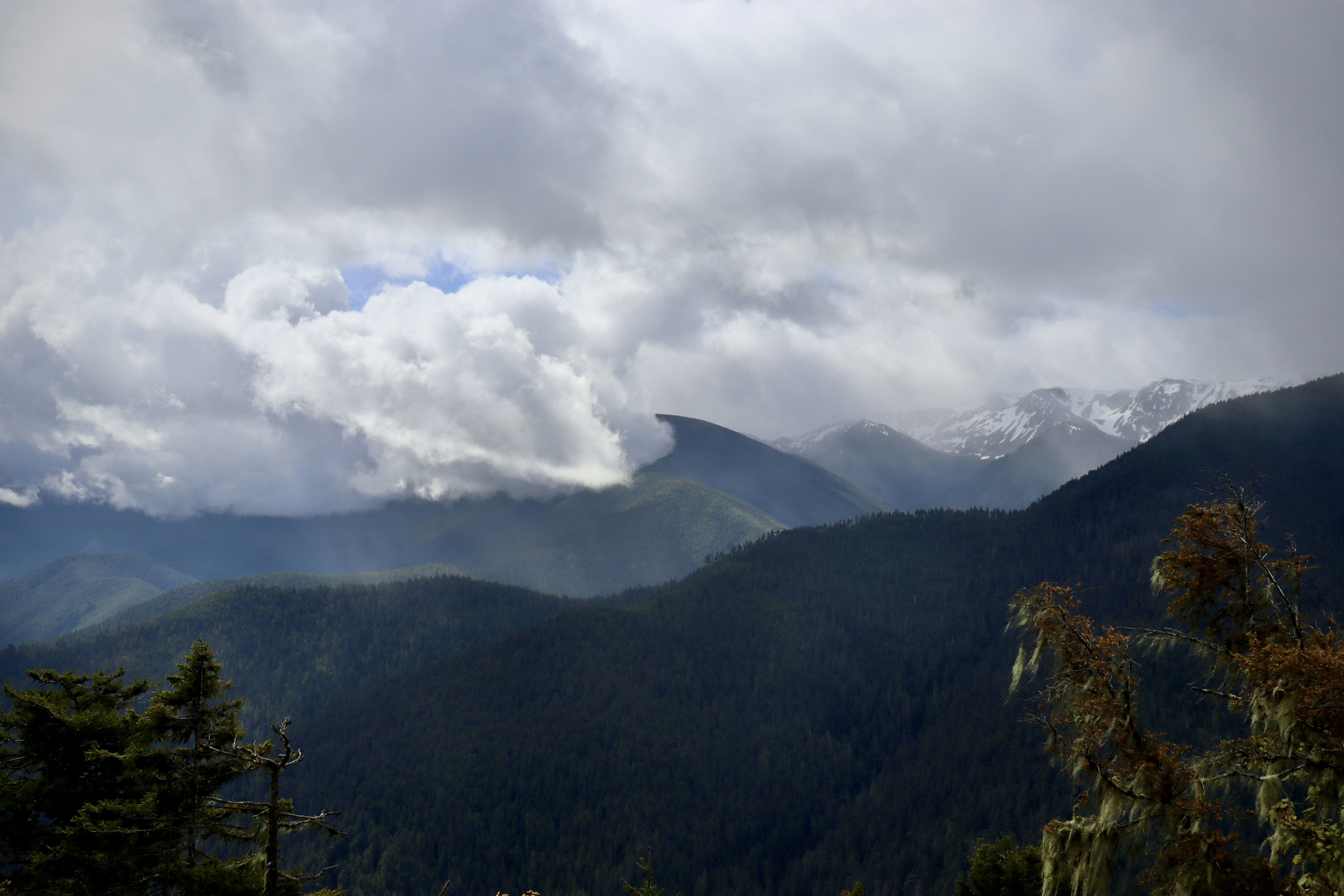 Photo by josh3rsmith