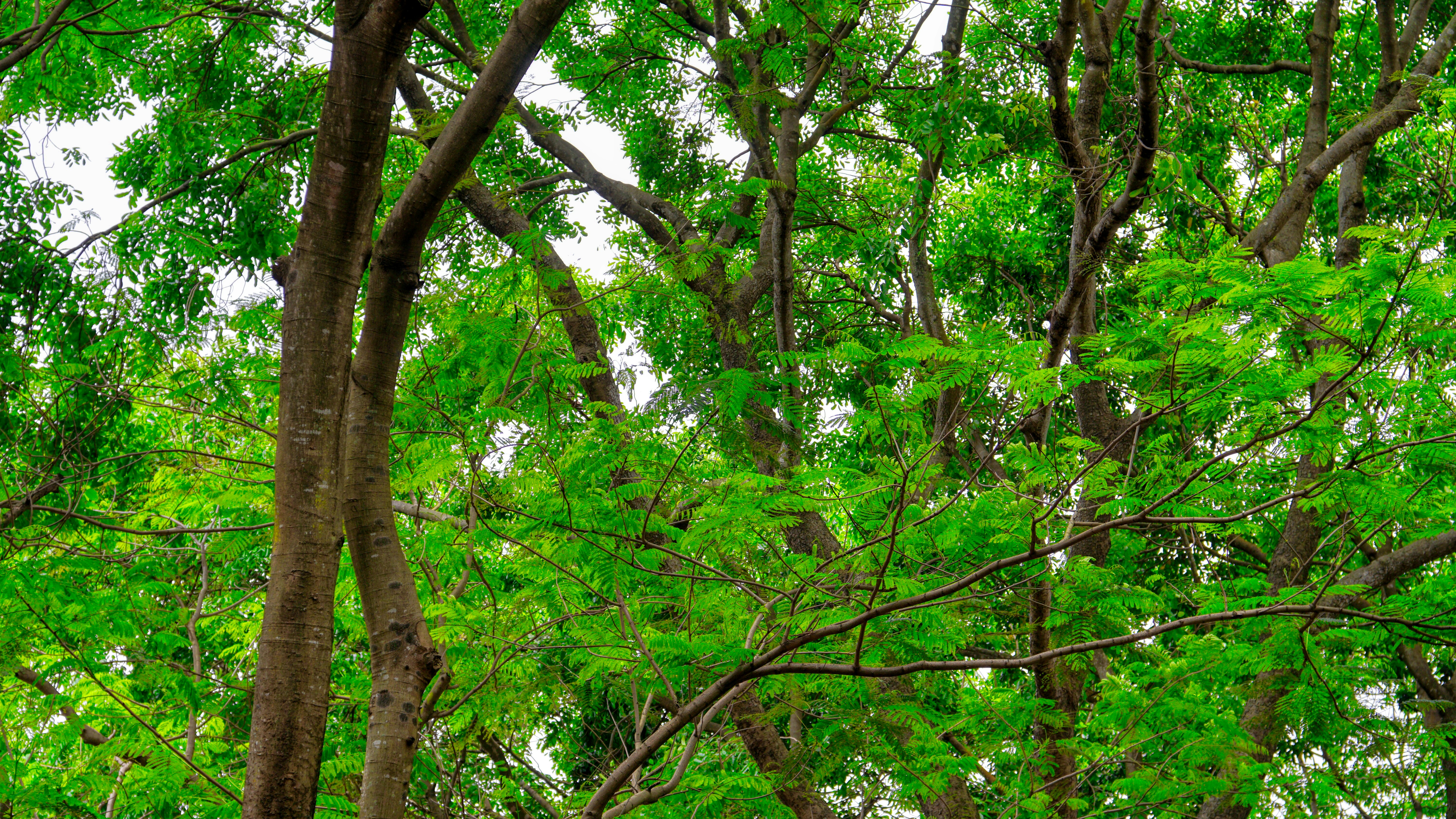 Photo by thomaskinto