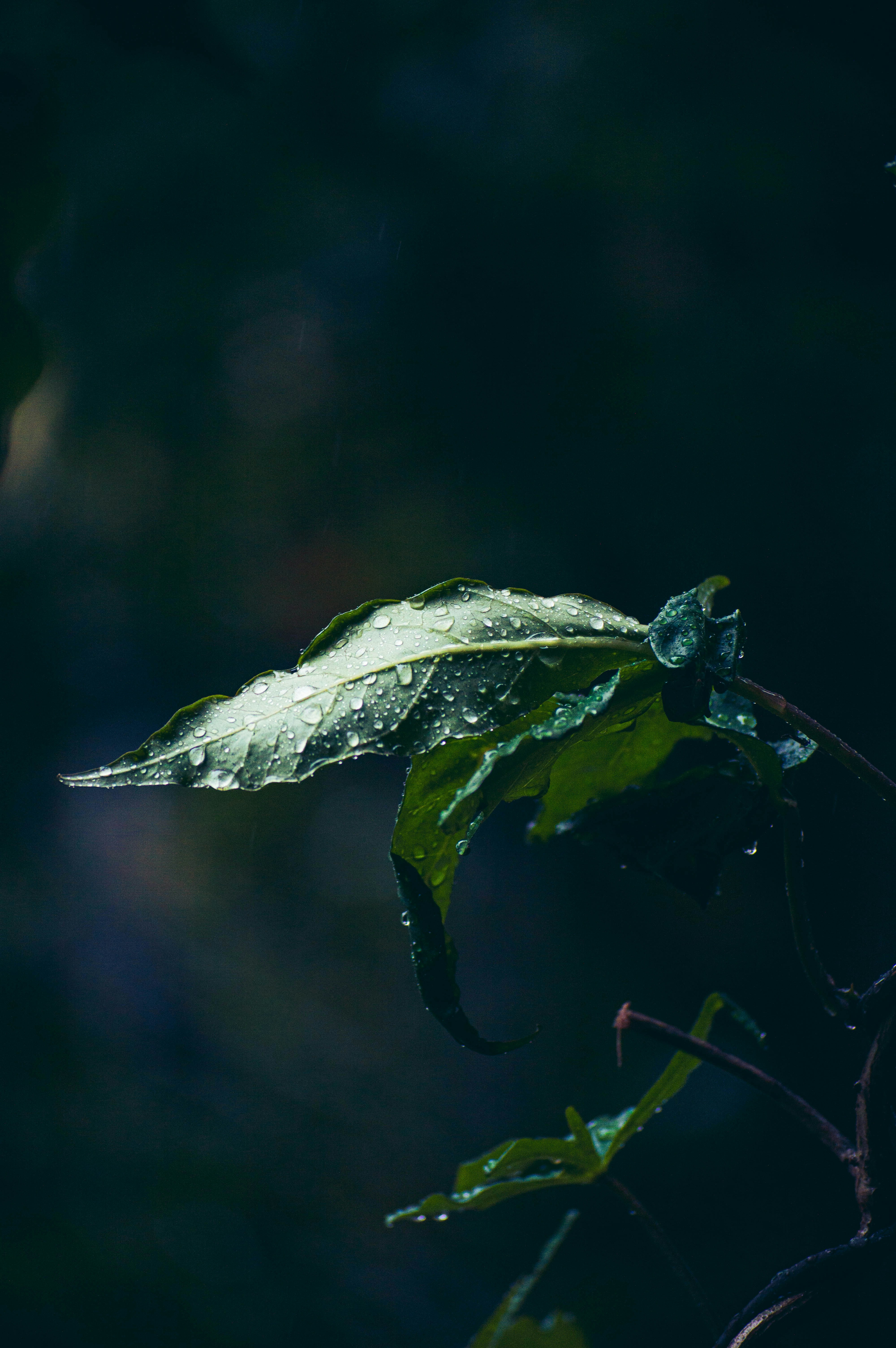 Photo by amogh2630