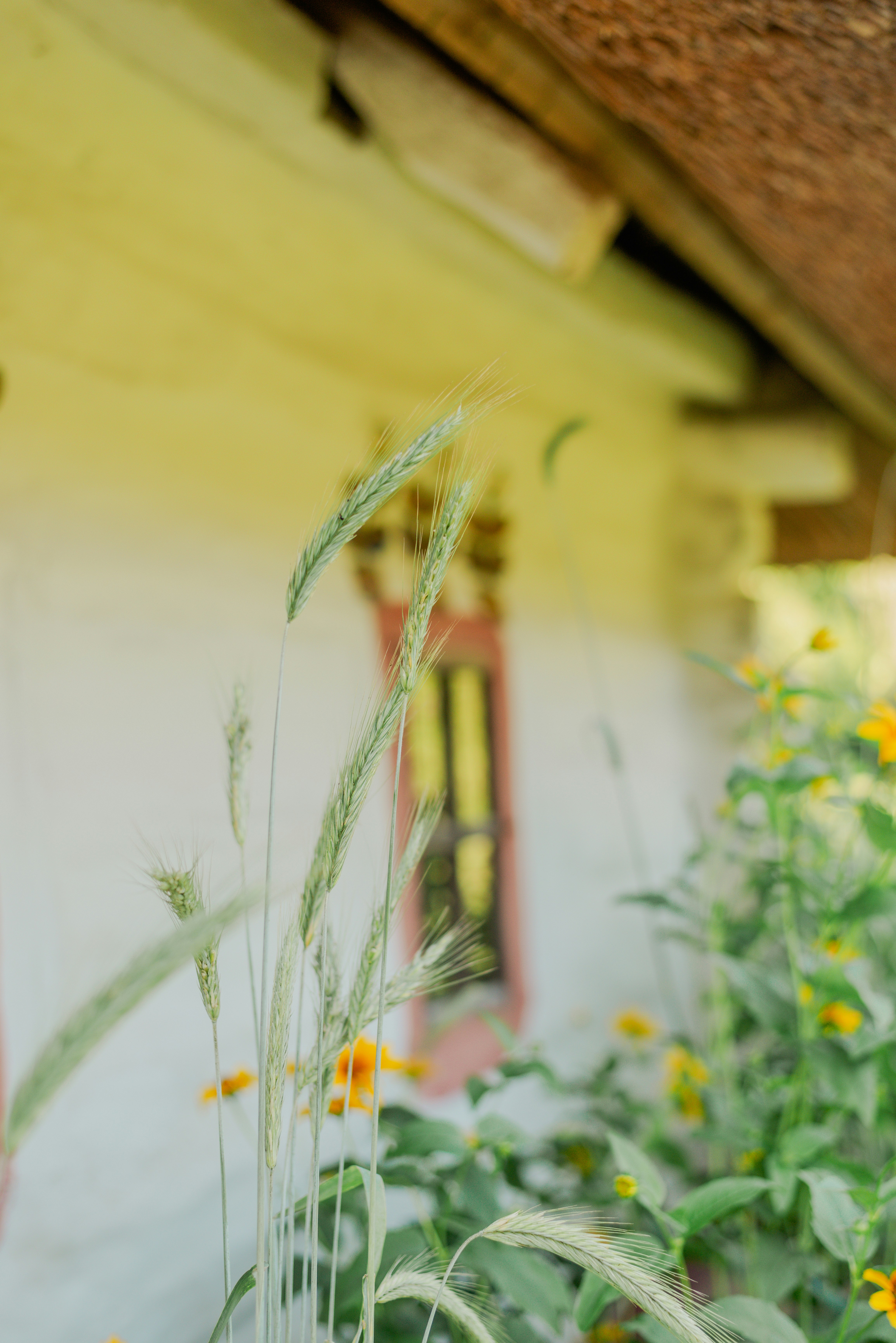 Photo by eugenivy_now