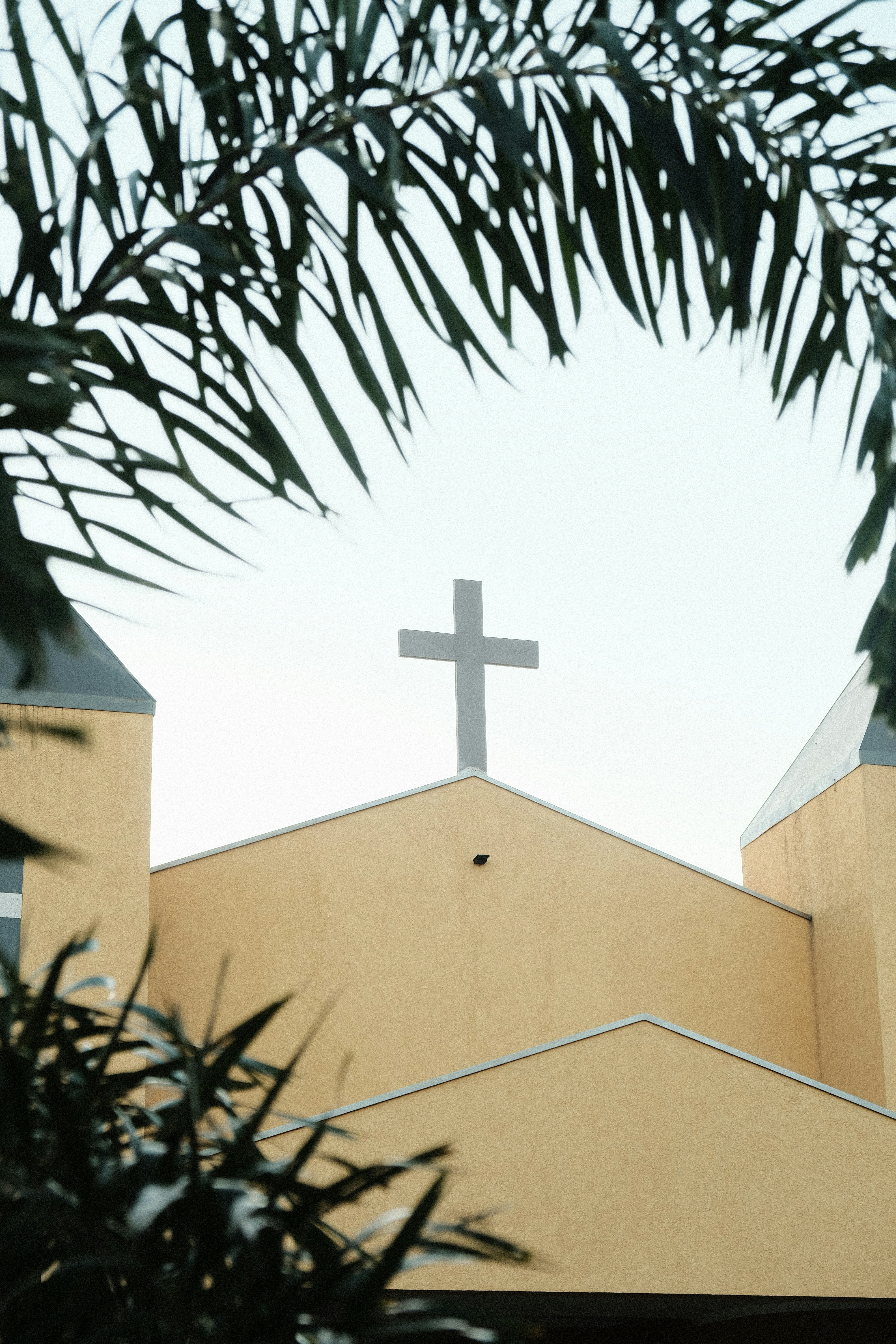 A gray cross stands atop a tan church building, framed by the leaves of palm trees. The image evokes a sense of peace and tranquility, with the natural beauty of the tropics complementing the spiritual significance of the church.