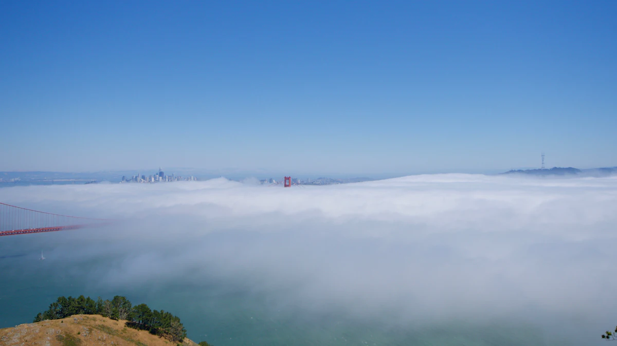 san francisco fog