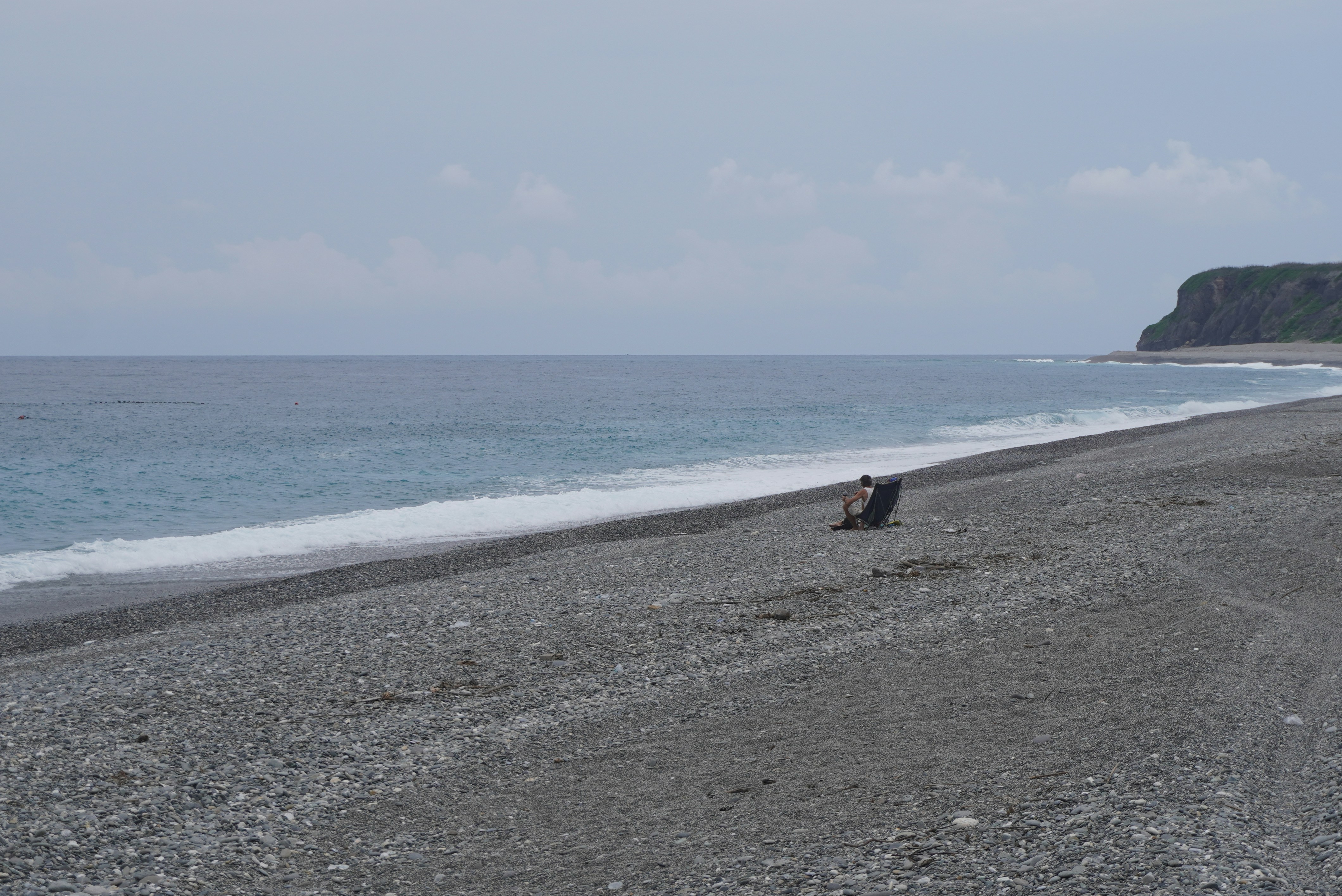 A dog sitting on a beach next to the ocean