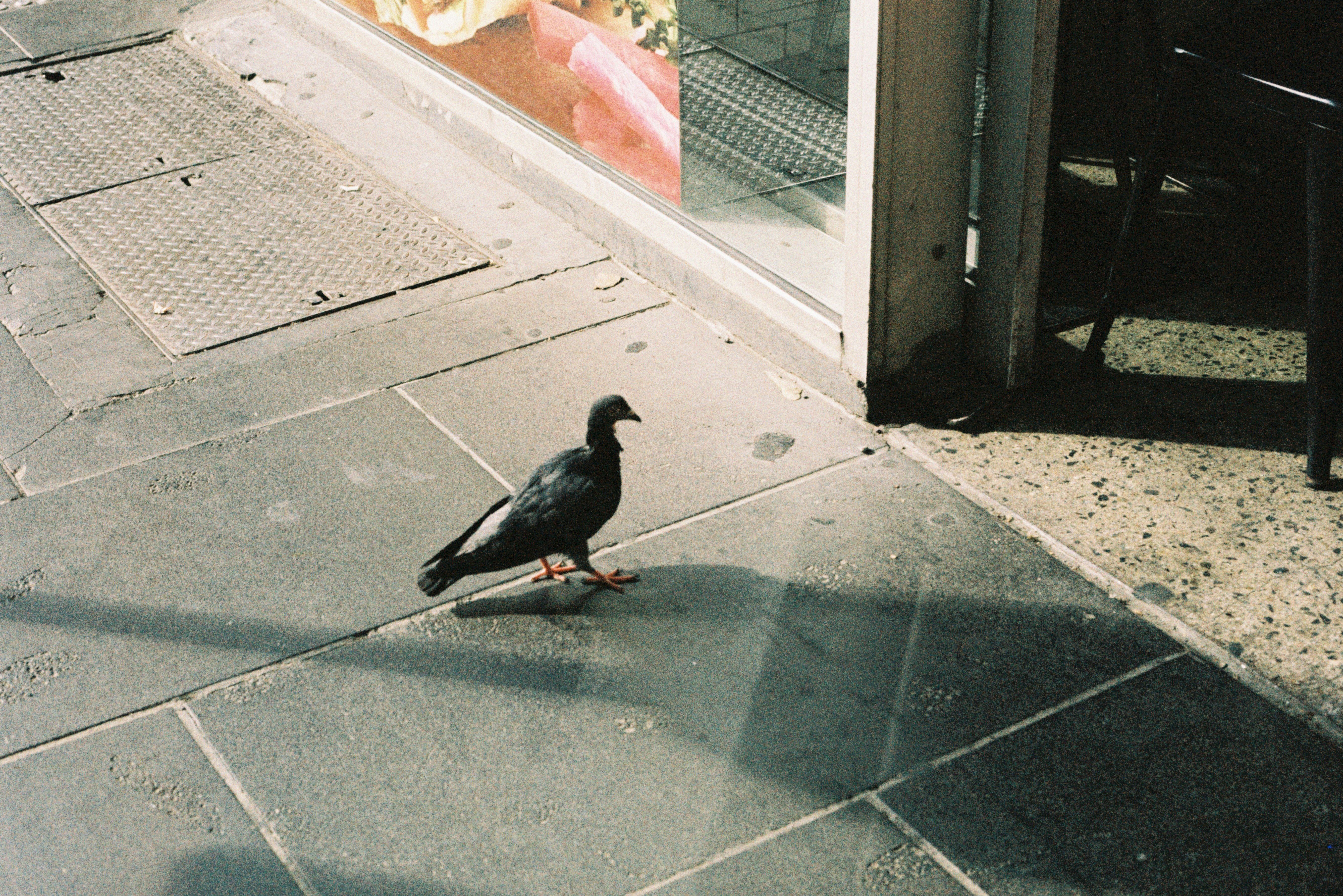 Photo by newtemple_visuals