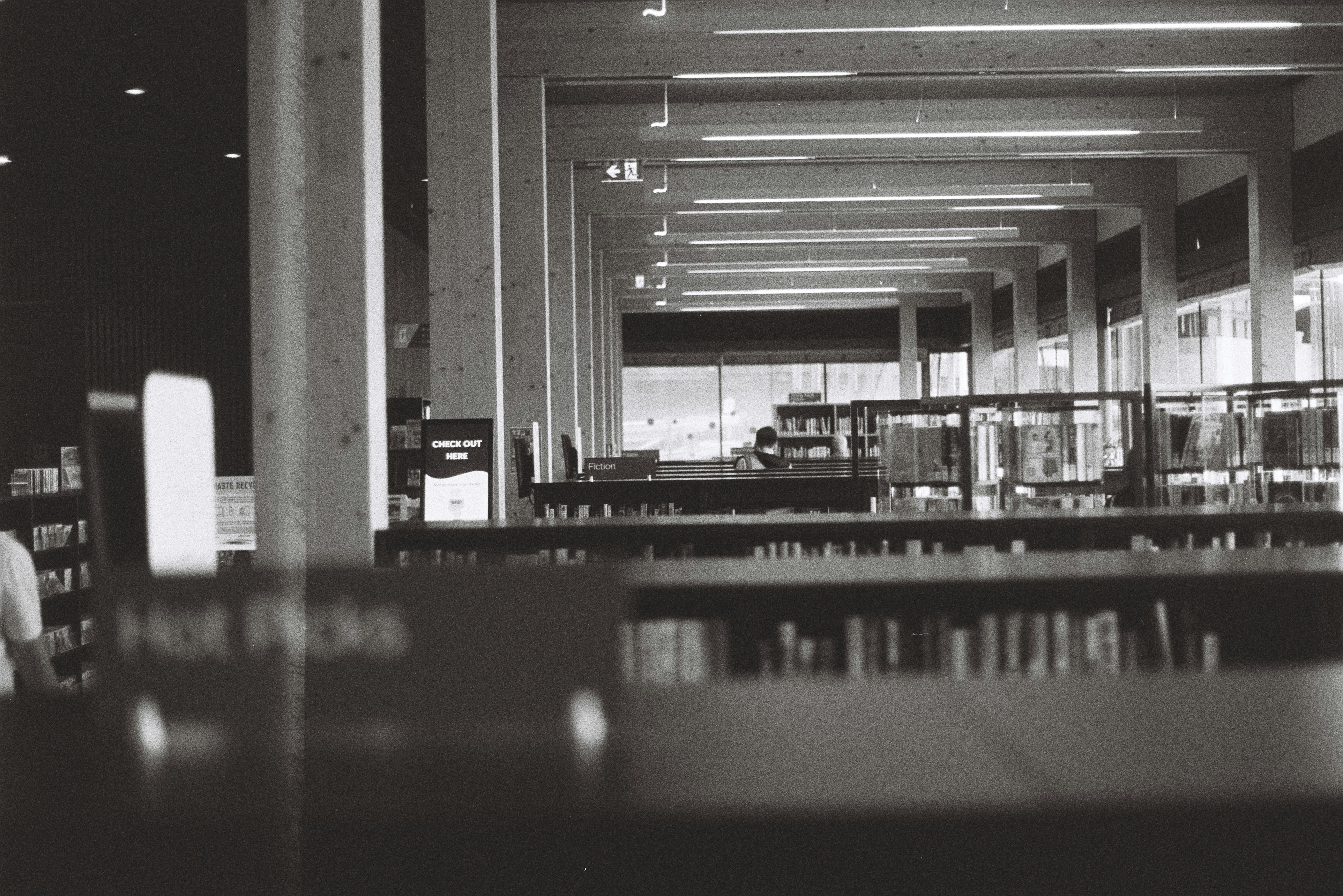 Photo by newtemple_visuals