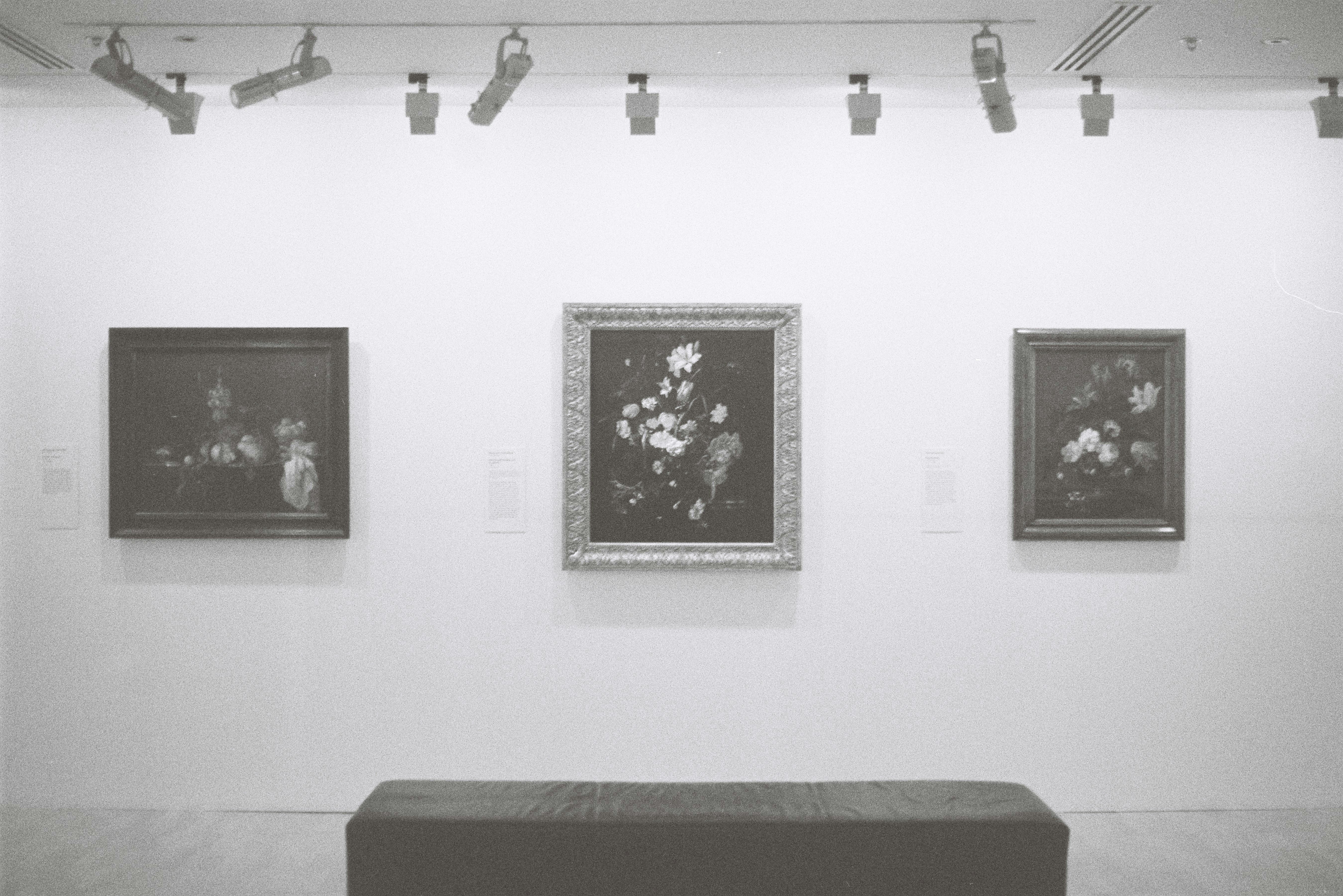 Photo by newtemple_visuals