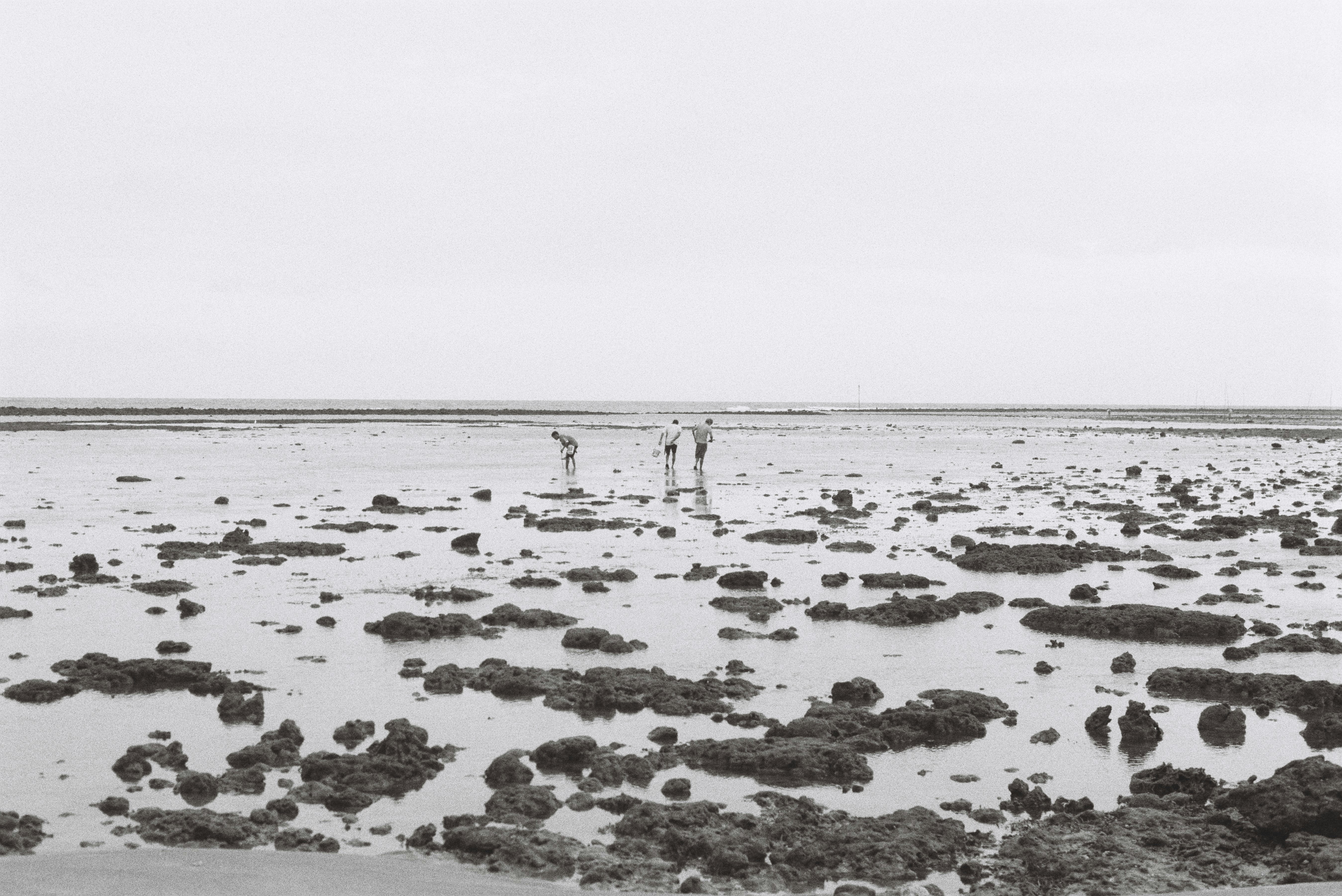 Photo by newtemple_visuals