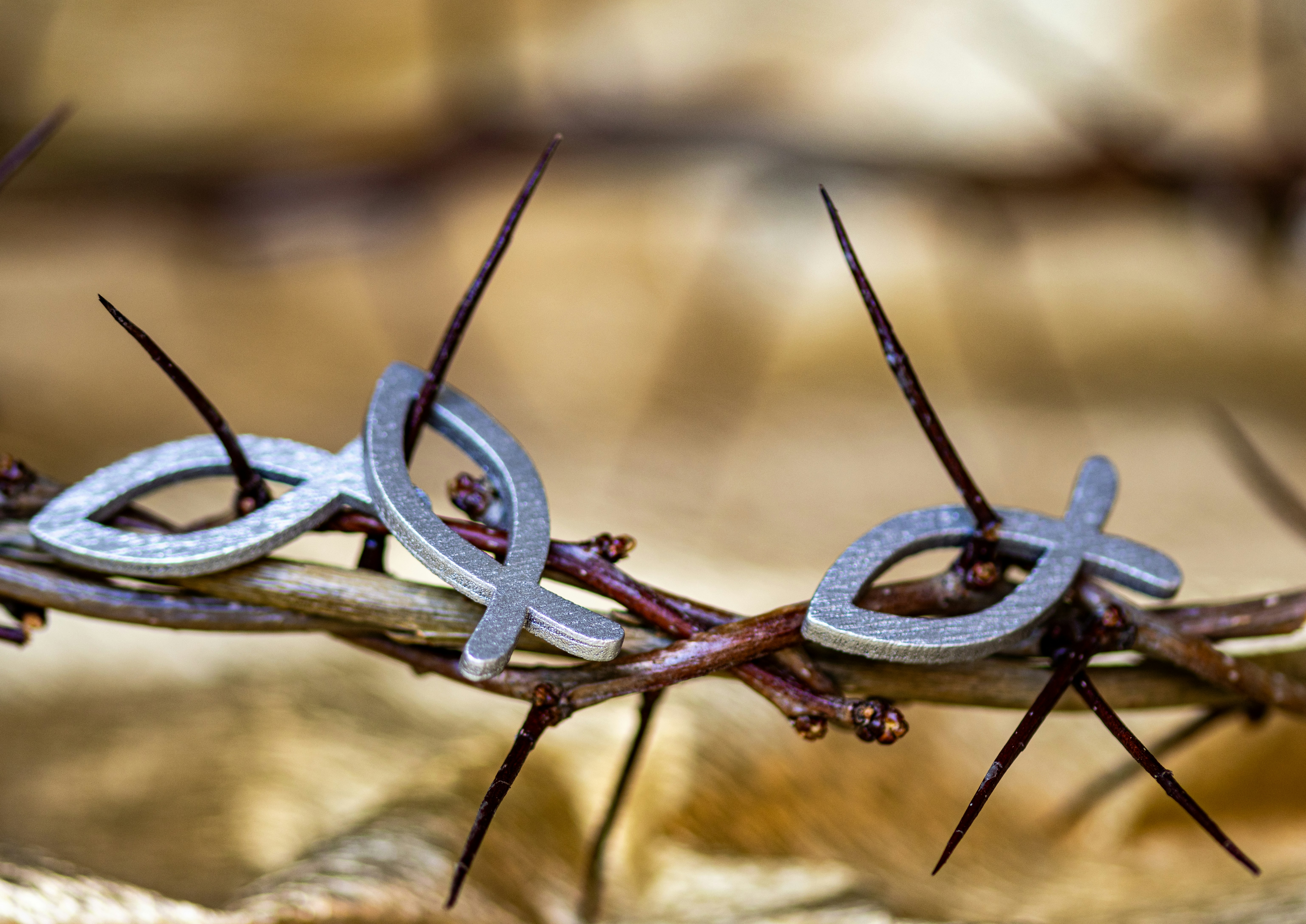Un primer plano de una corona de alambre de púas