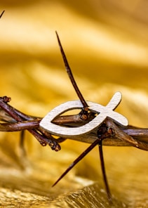 A close up of a piece of barbed wire
