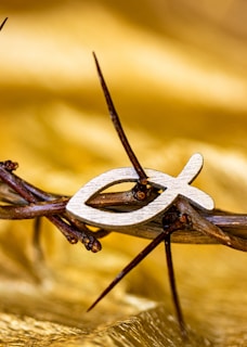 A close up of a piece of barbed wire