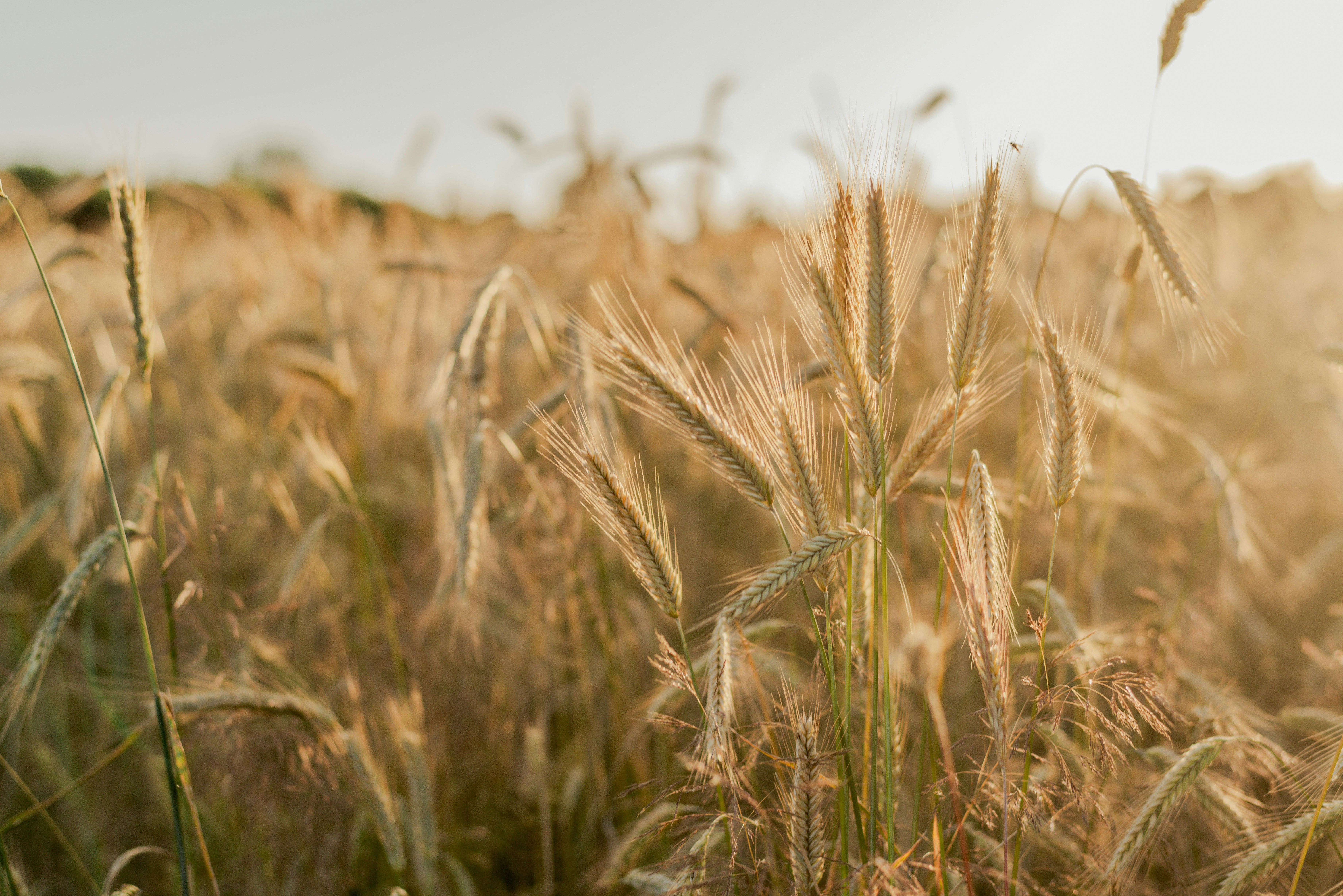 Photo by eugenivy_now